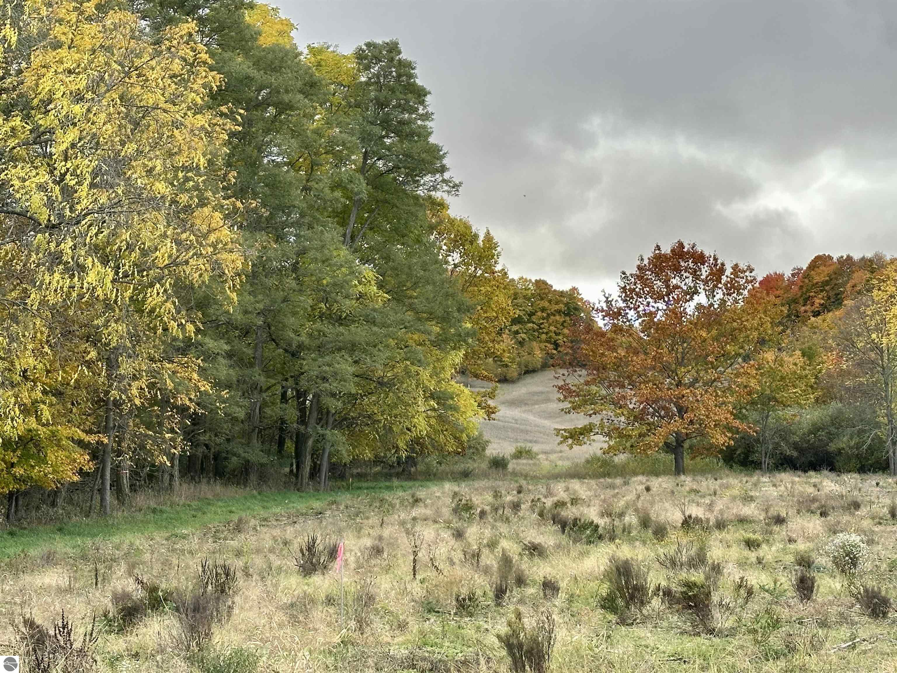 2.4 Acres off E Popa Road