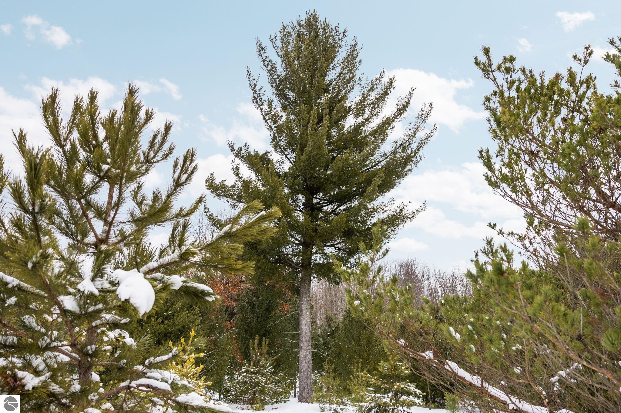 323 SE Blue Heron Drive