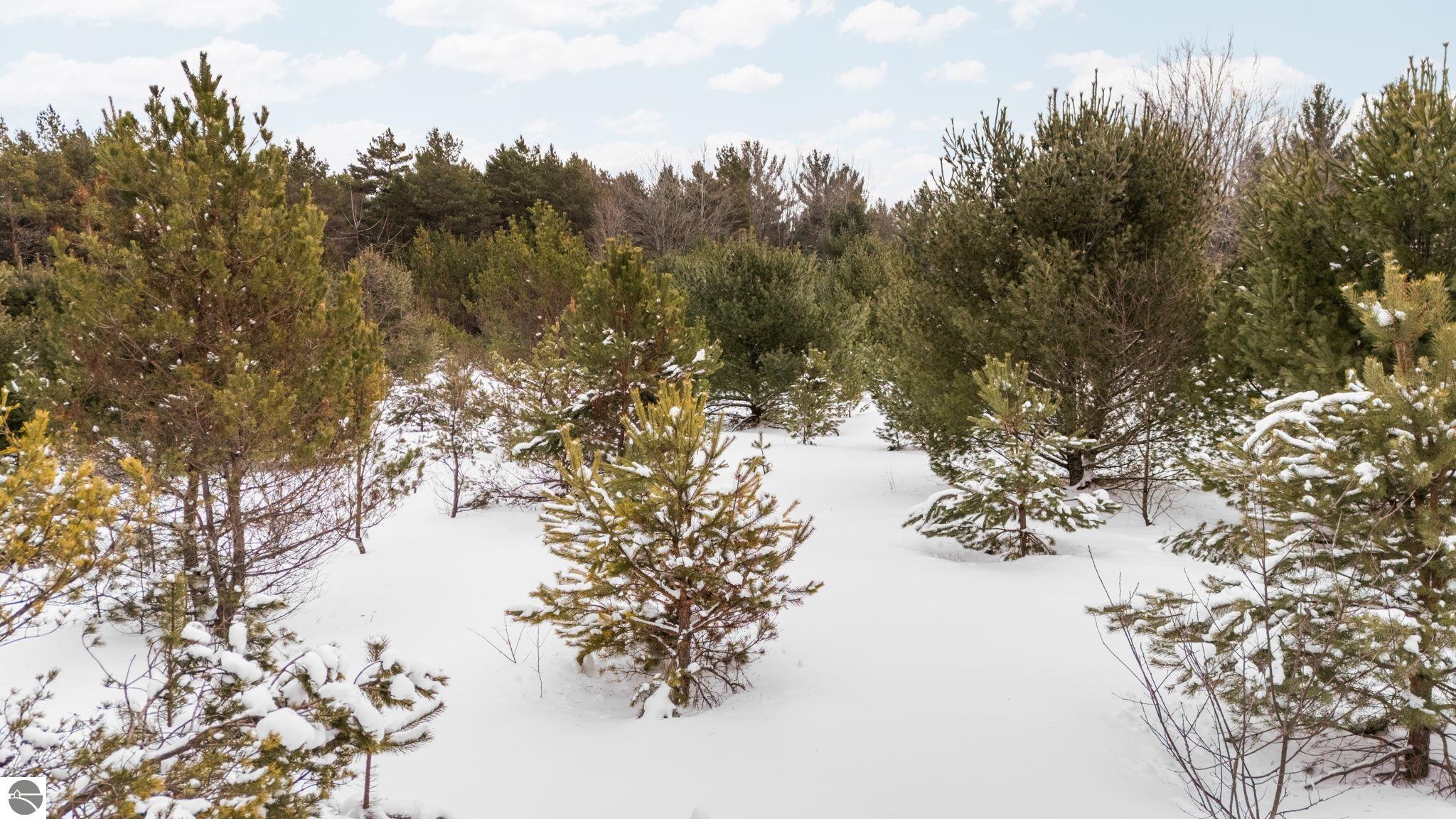 323 SE Blue Heron Drive