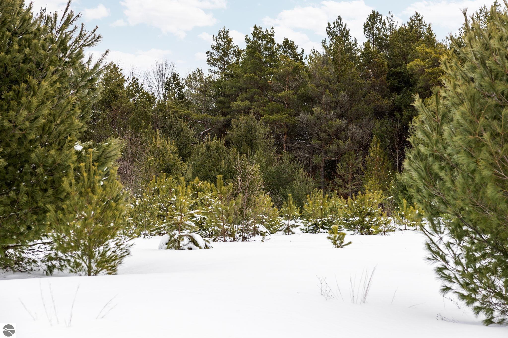 323 SE Blue Heron Drive