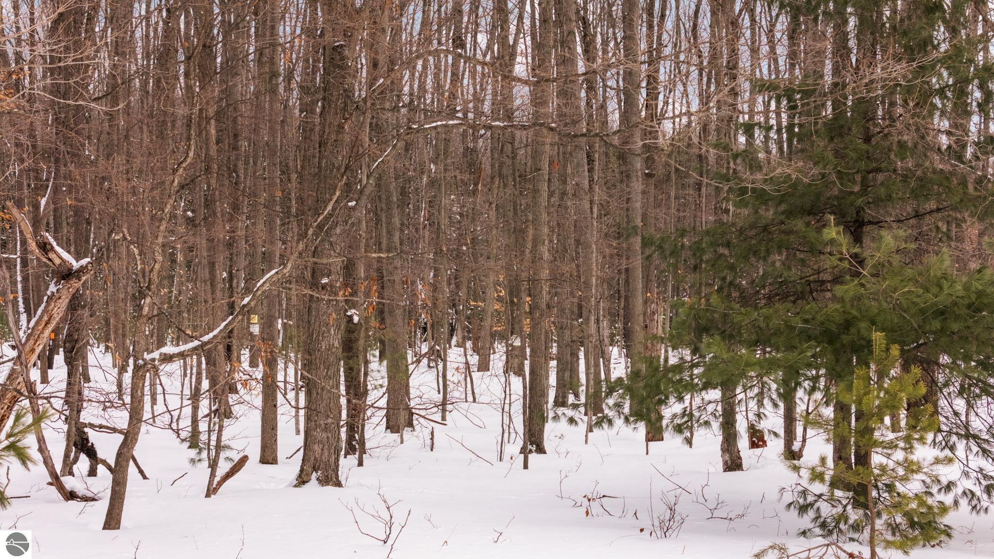 323 SE Blue Heron Drive