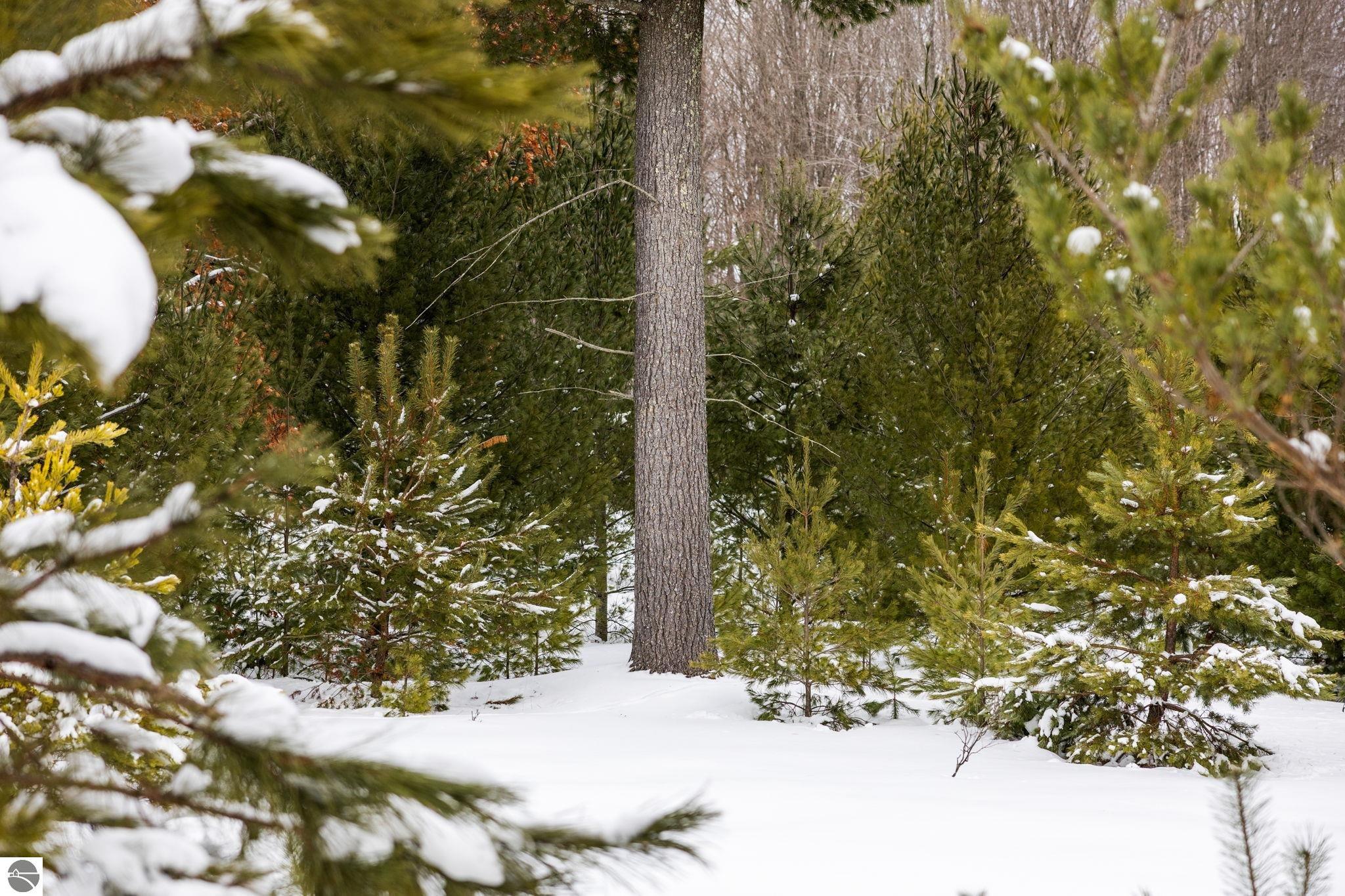 323 SE Blue Heron Drive