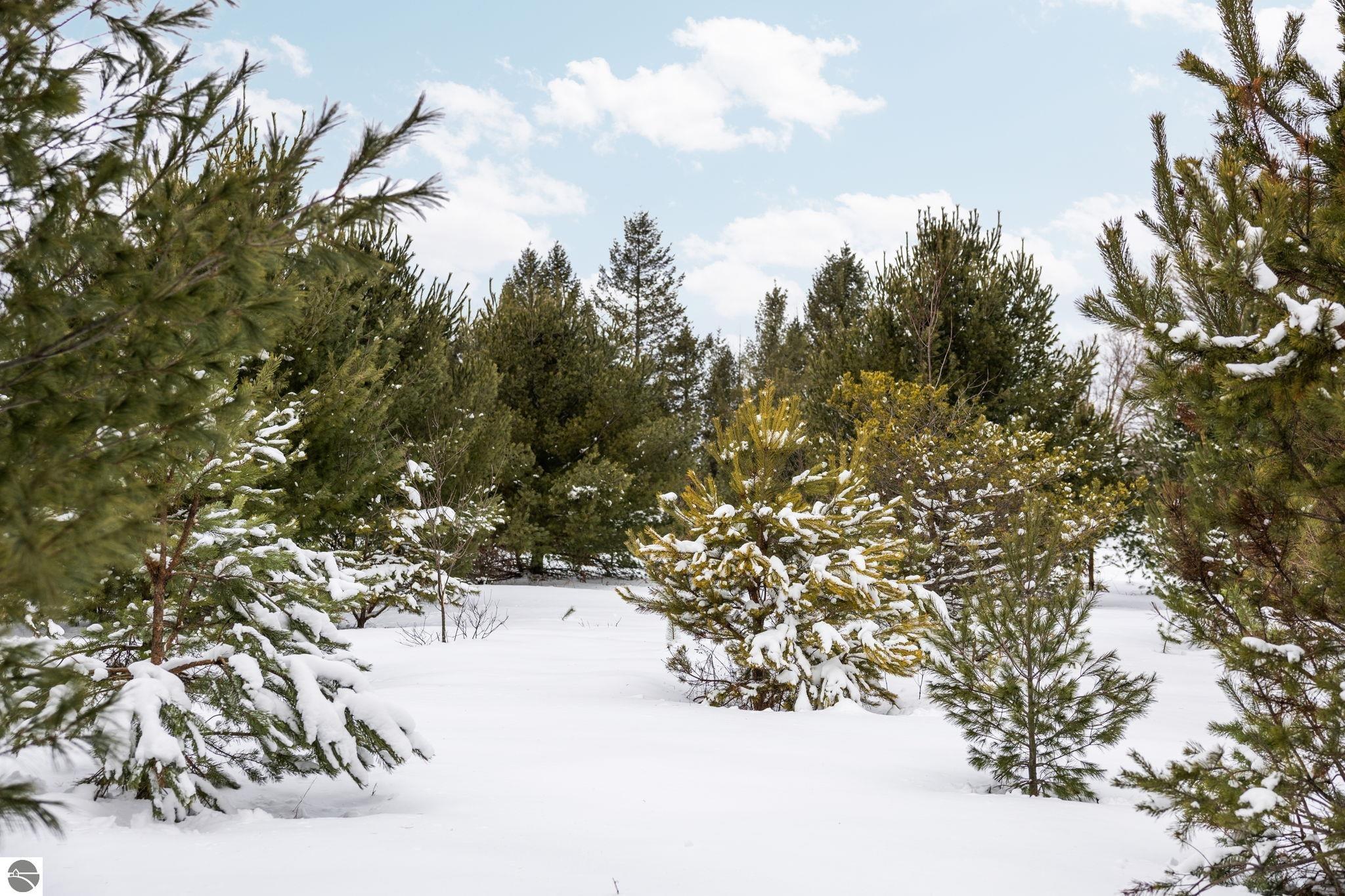 323 SE Blue Heron Drive