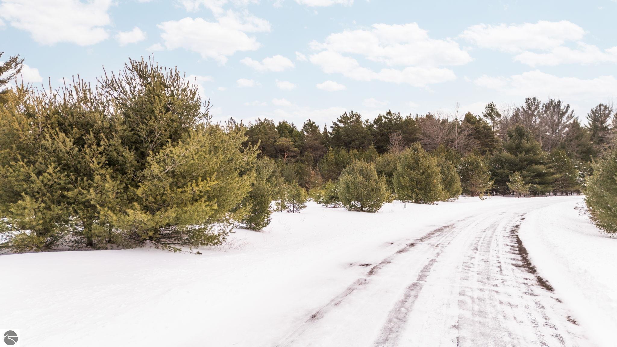 323 SE Blue Heron Drive