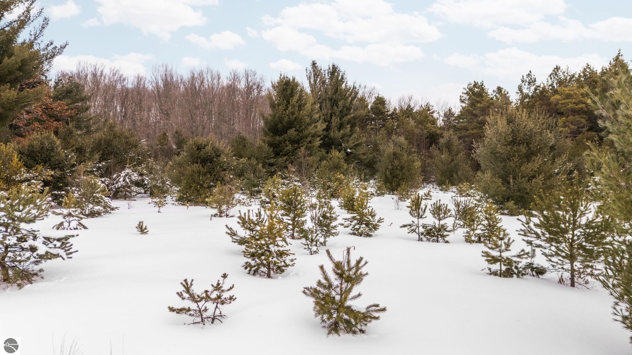 323 SE Blue Heron Drive