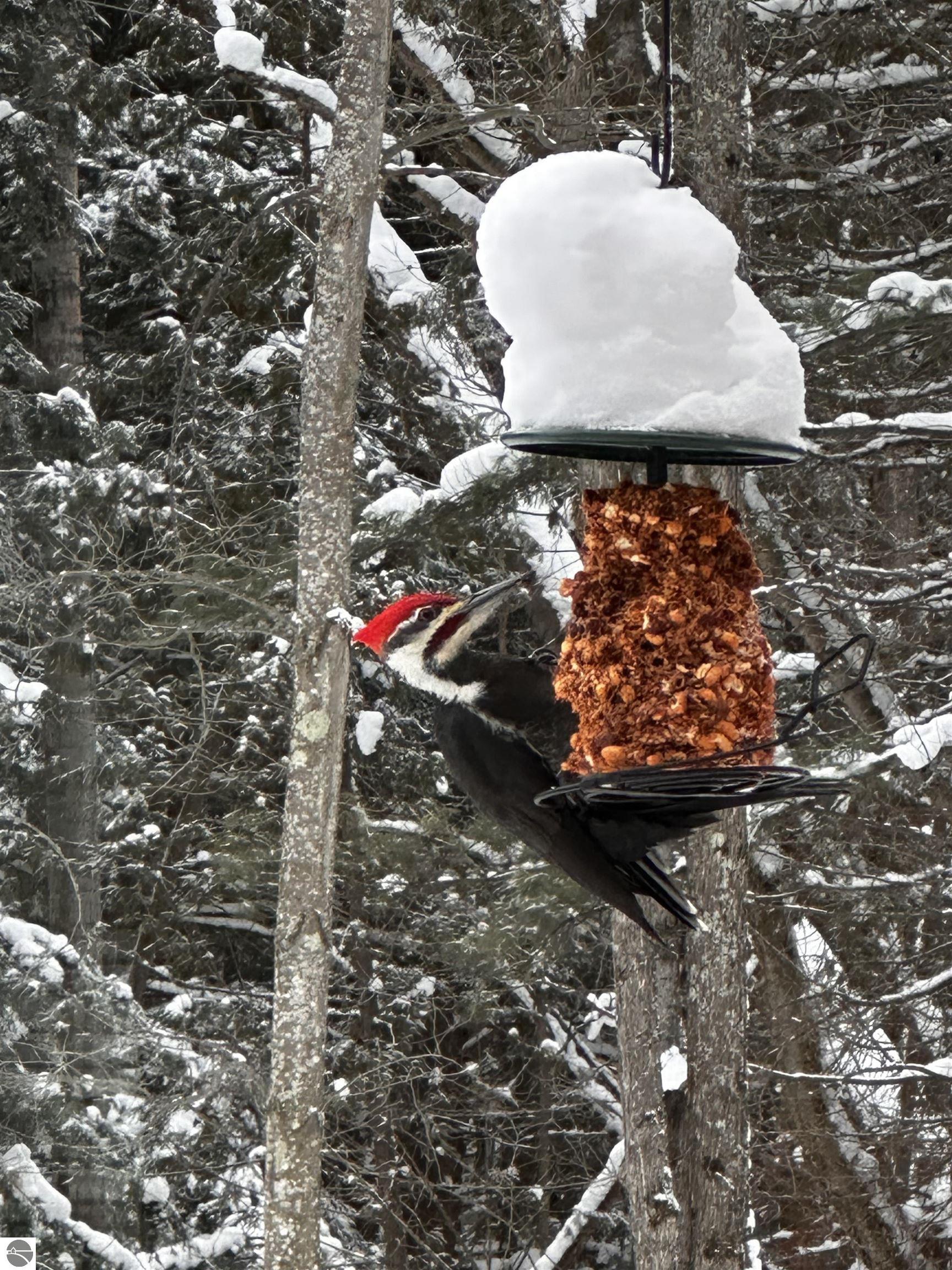 5466 Millbrook Drive # 6