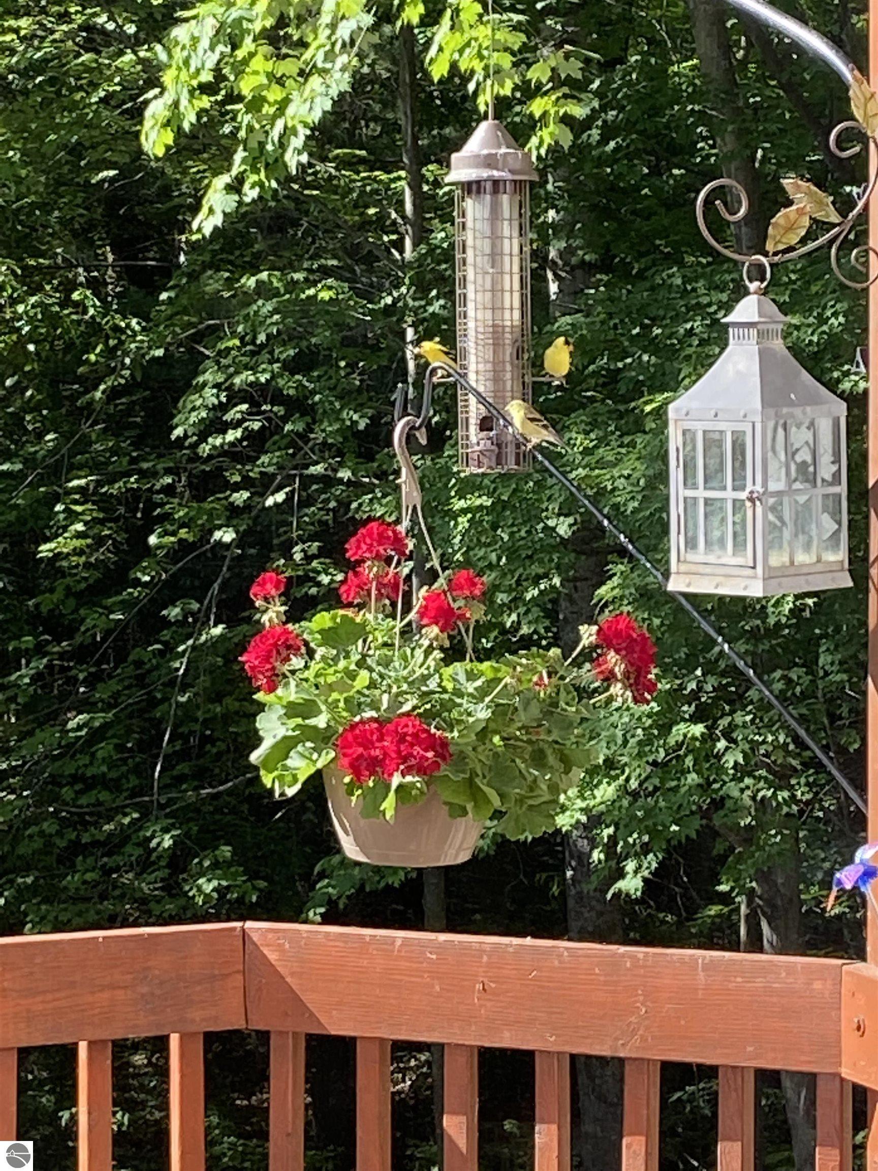 5466 Millbrook Drive # 6