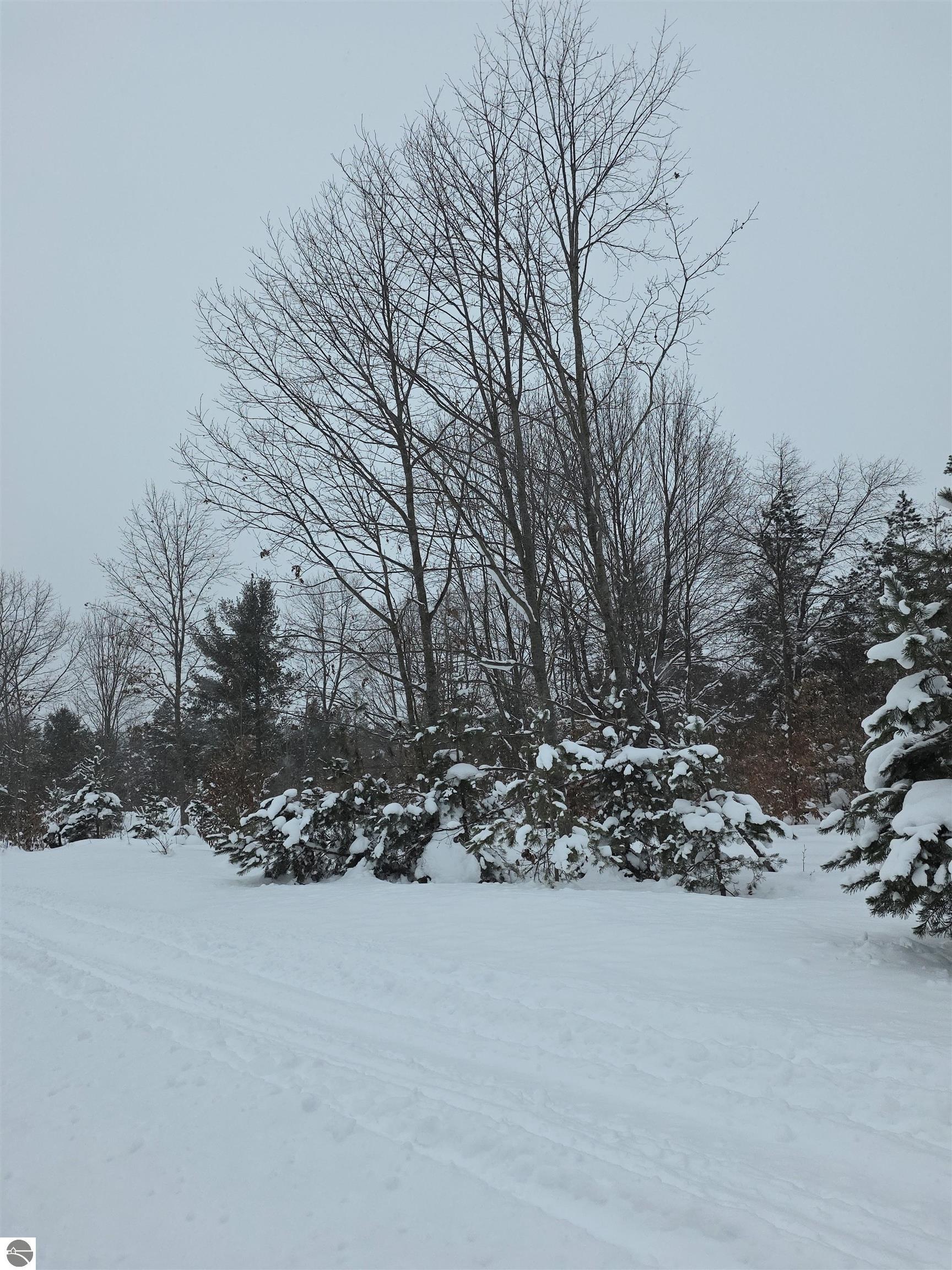 Lot D Saint Johns Road