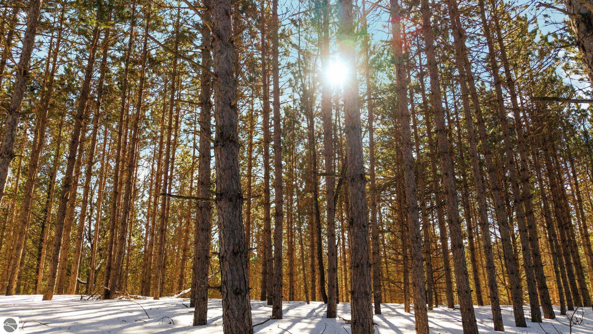 4811 Truax Lake Road