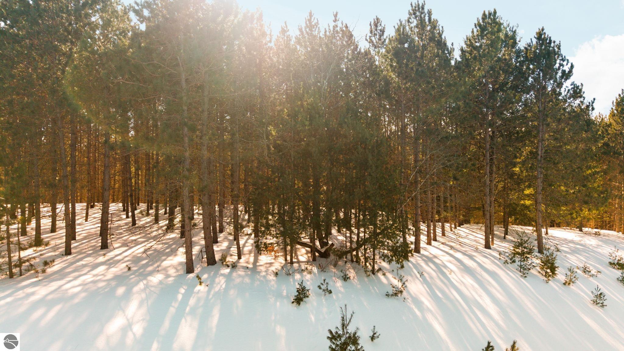 4811 Truax Lake Road