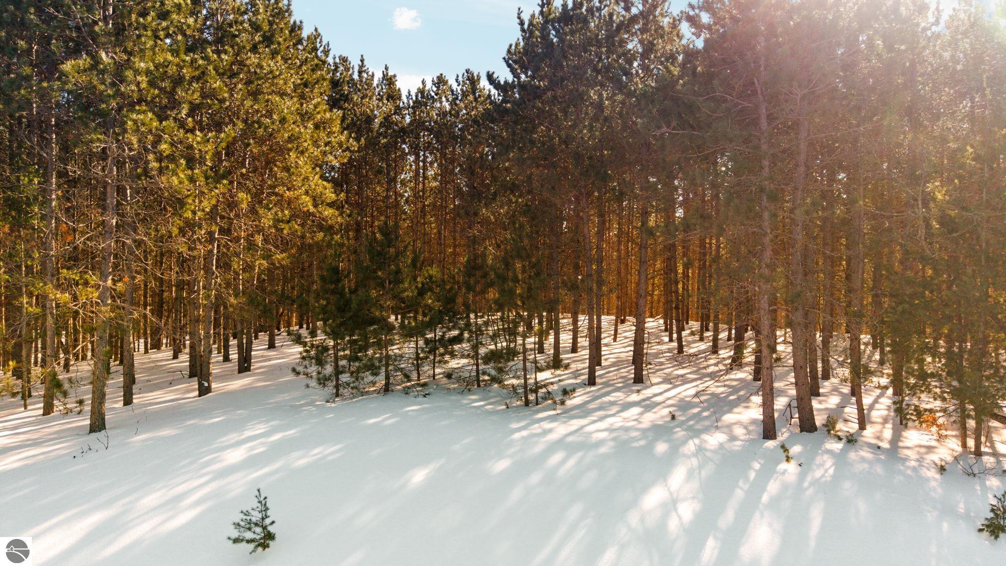 4811 Truax Lake Road