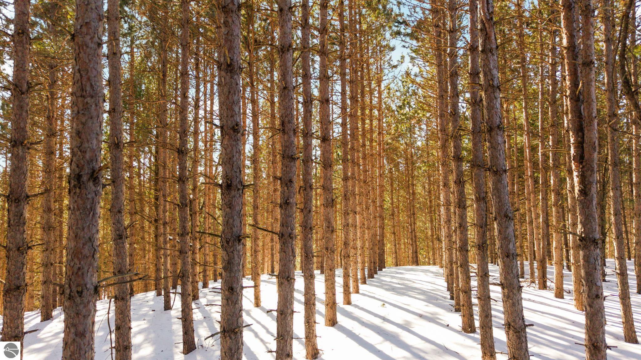 4811 Truax Lake Road