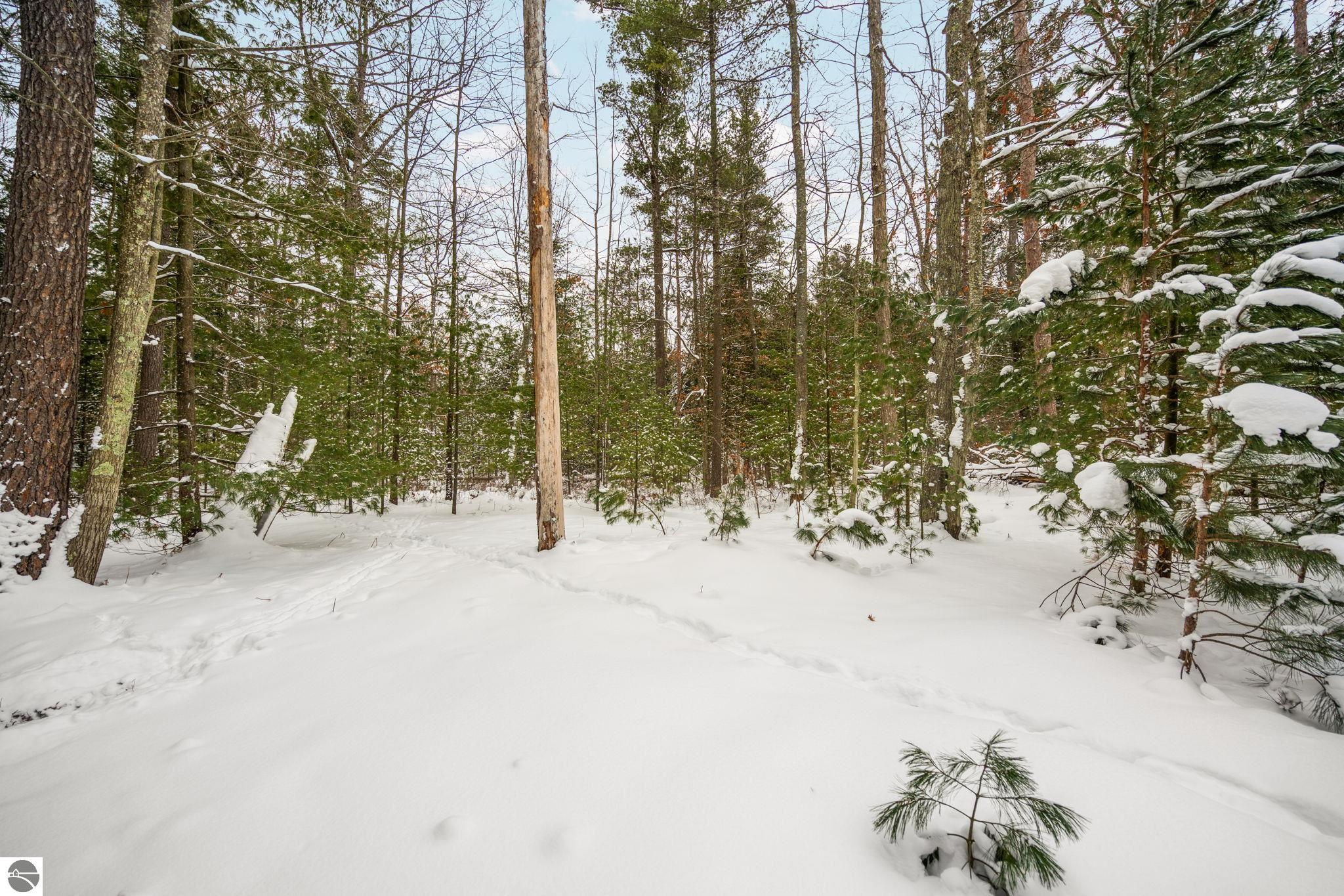 00 Business Park Drive