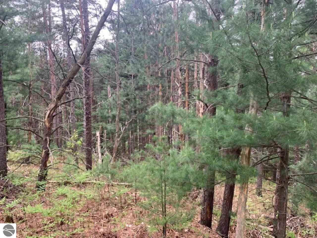 865 Wind Drift Drive