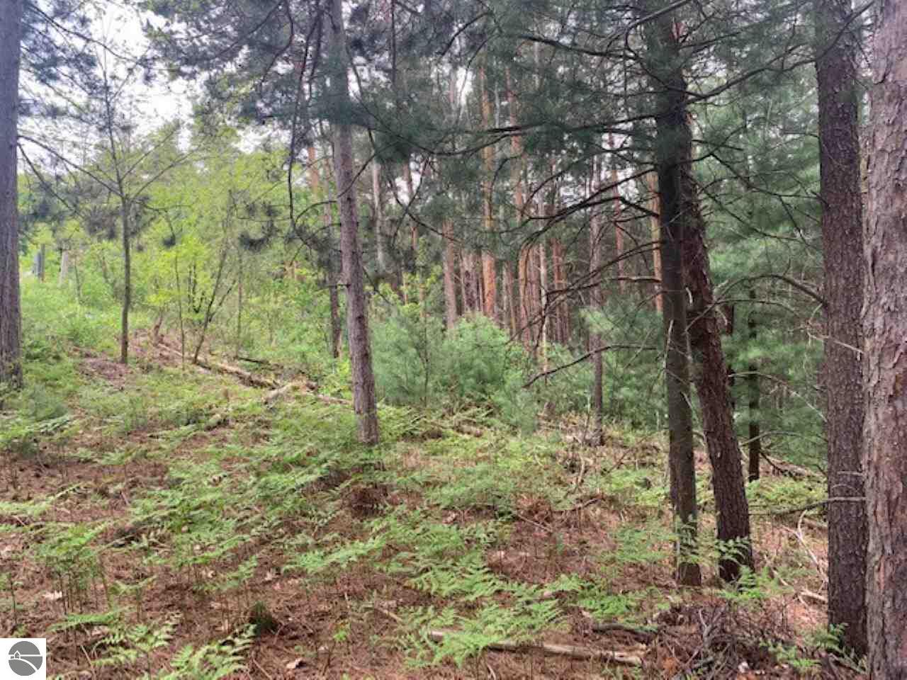 865 Wind Drift Drive