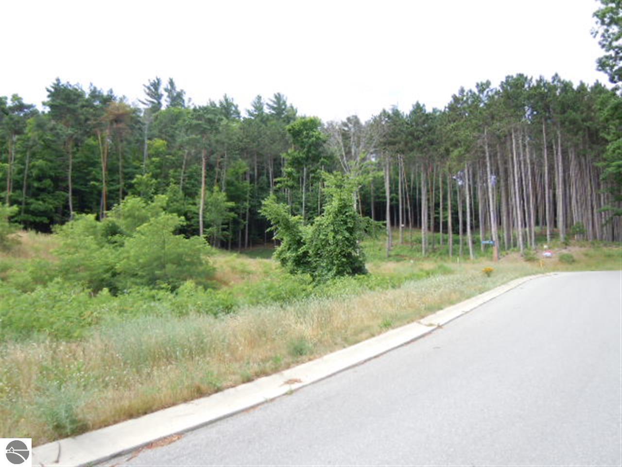 843 Wind Drift Drive