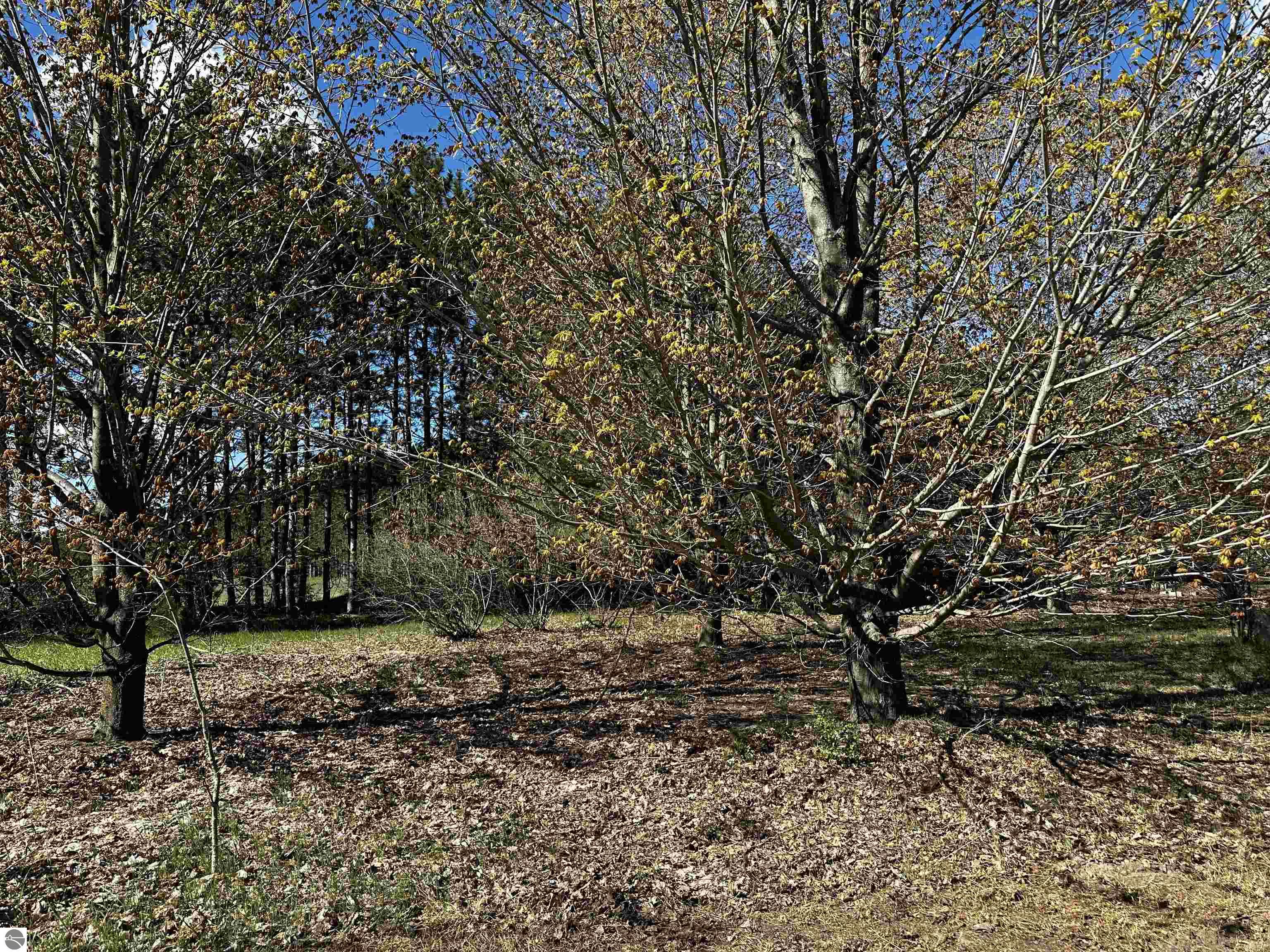 V/L NW Wilhelm Road