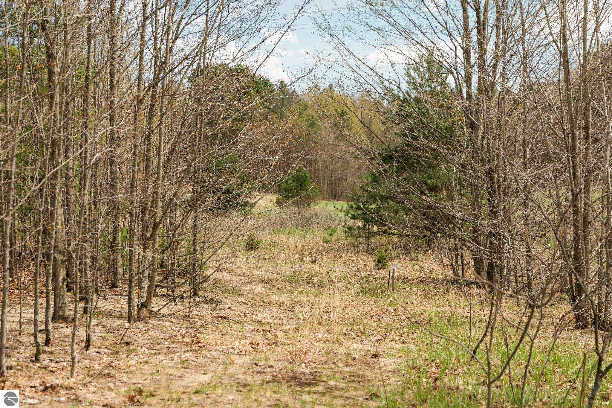 42 Farm Lane