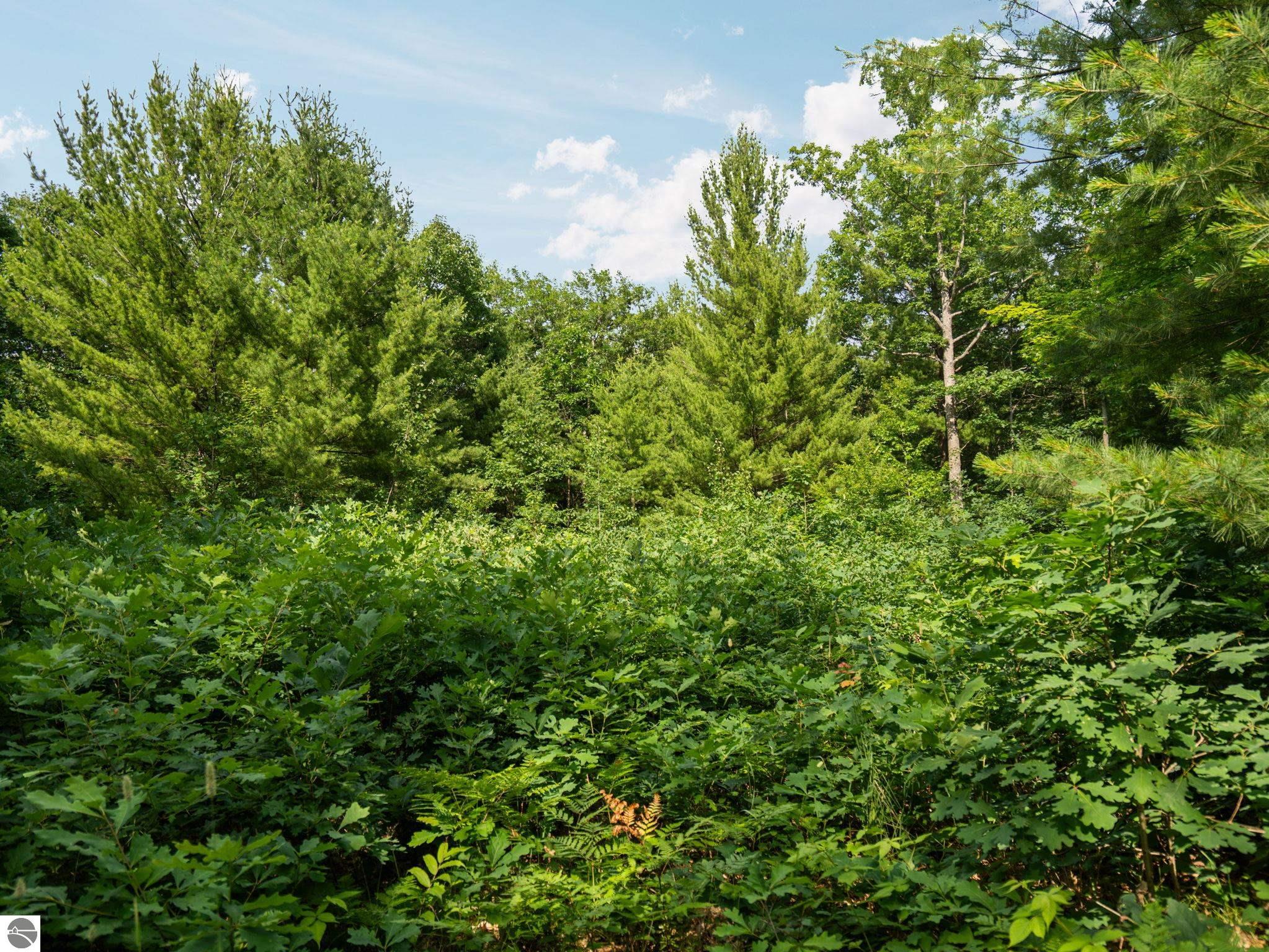 Lots 89 & 90 Beroun Avenue