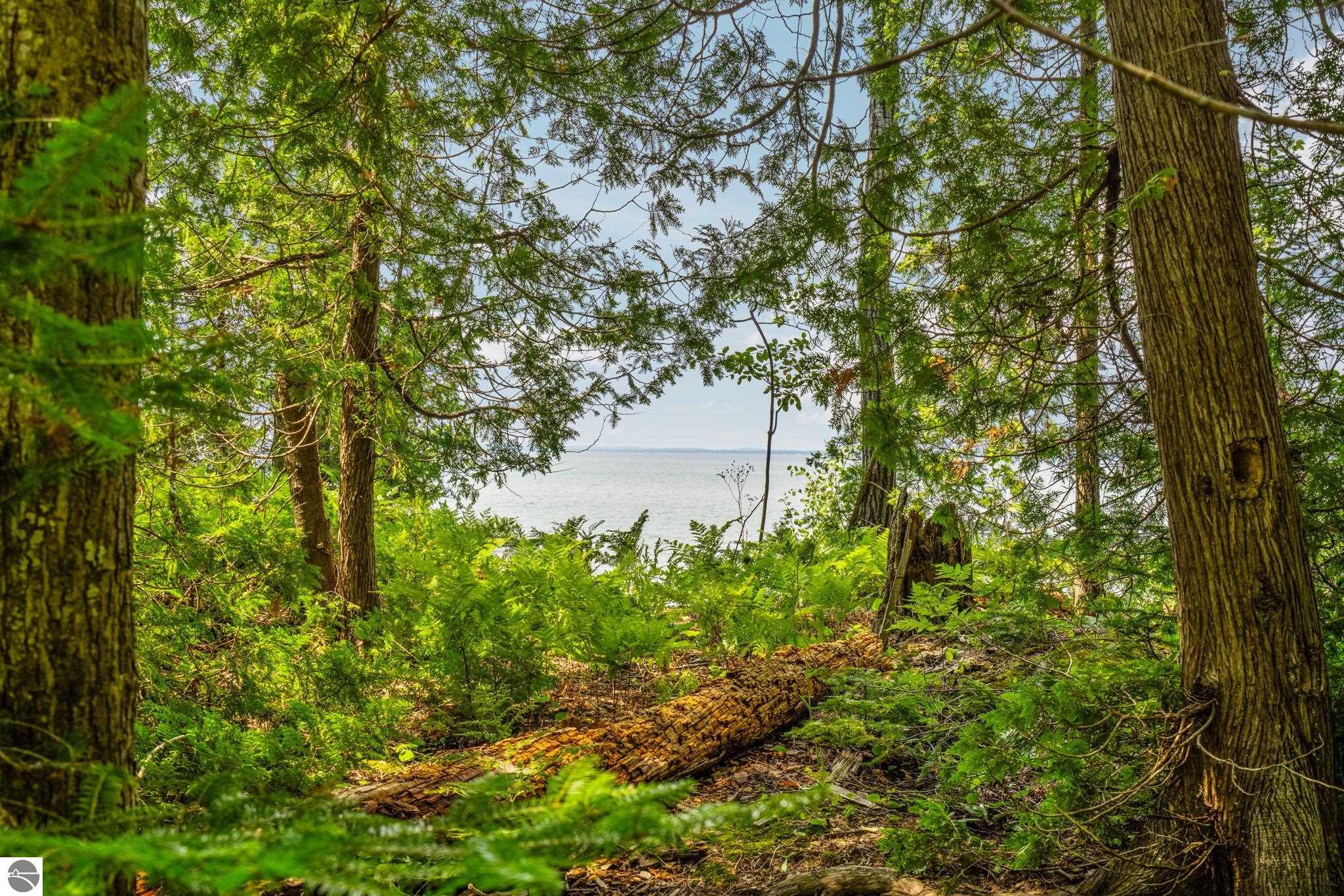 11167 Lakeshore Drive