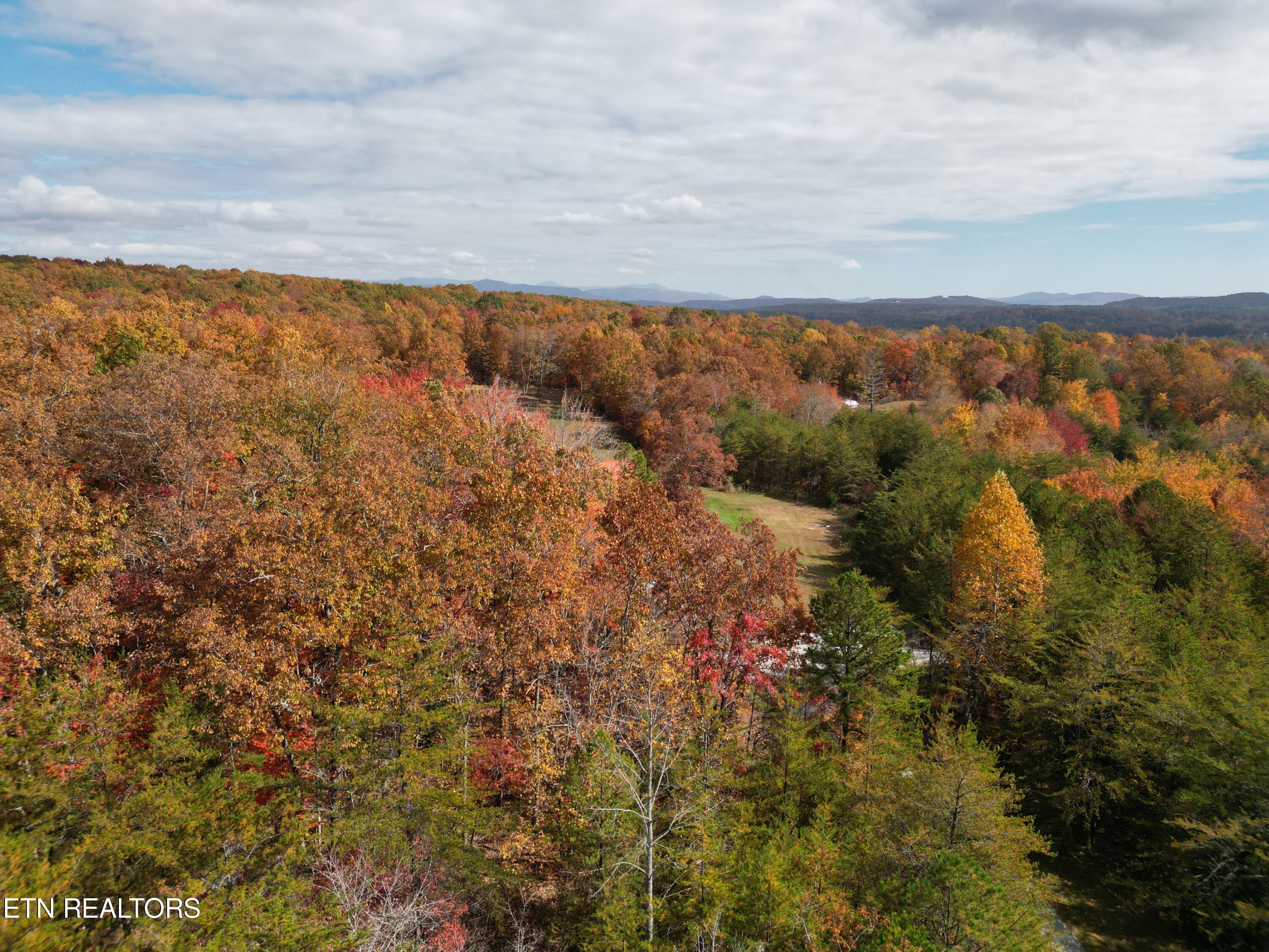 246 Catoosa Ridge Rd