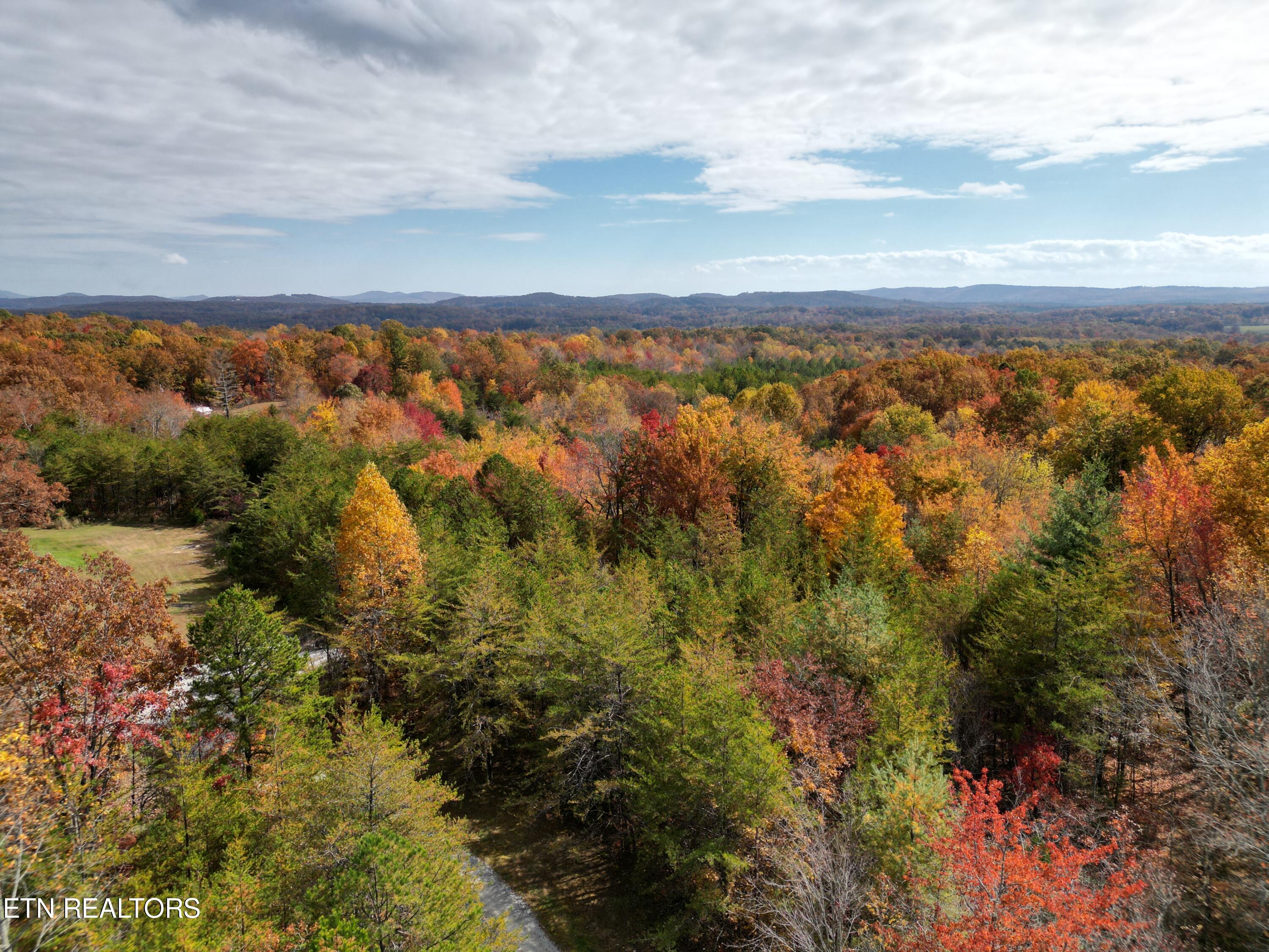 246 Catoosa Ridge Rd