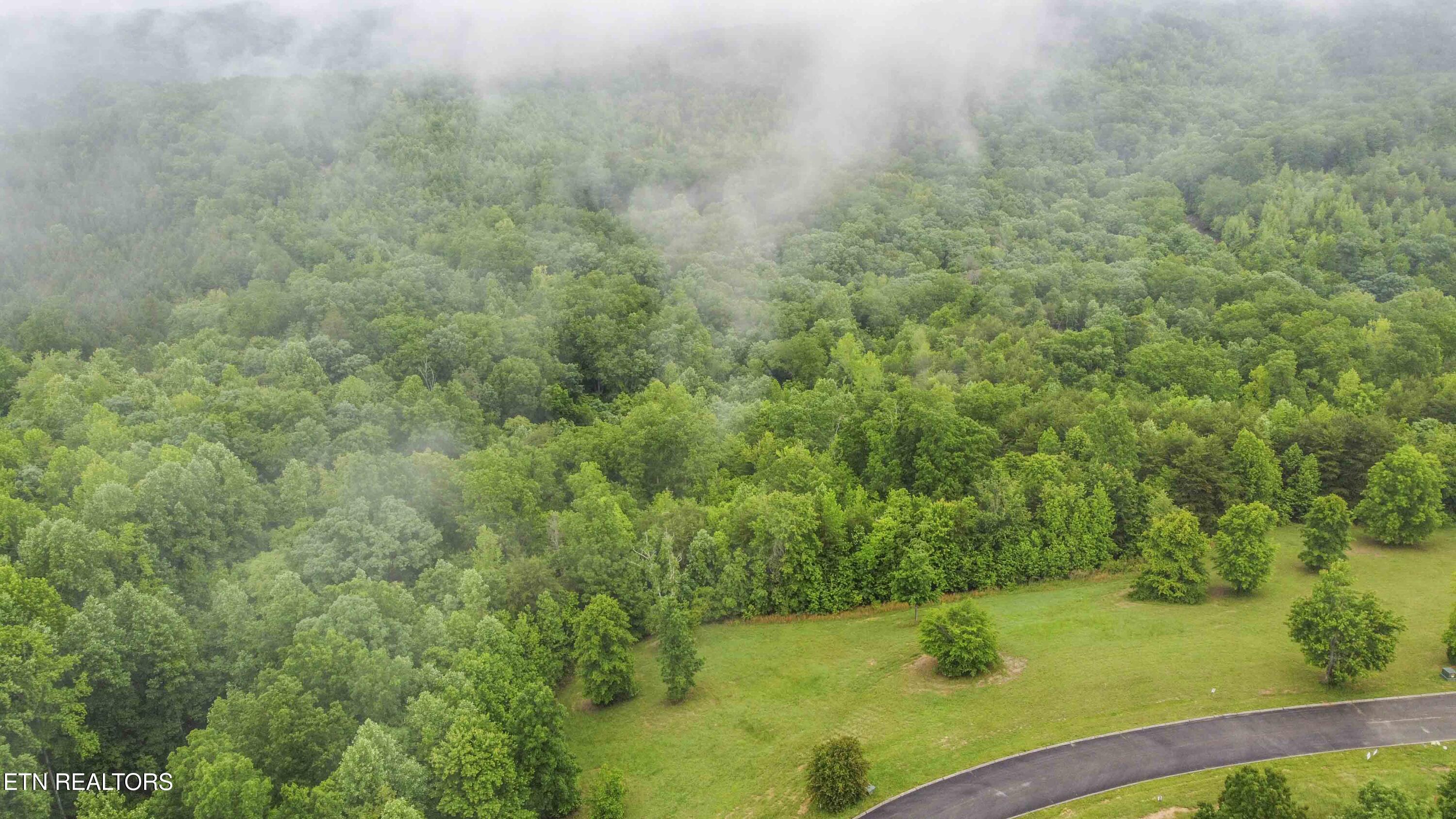 509 Hidden Forest Tr