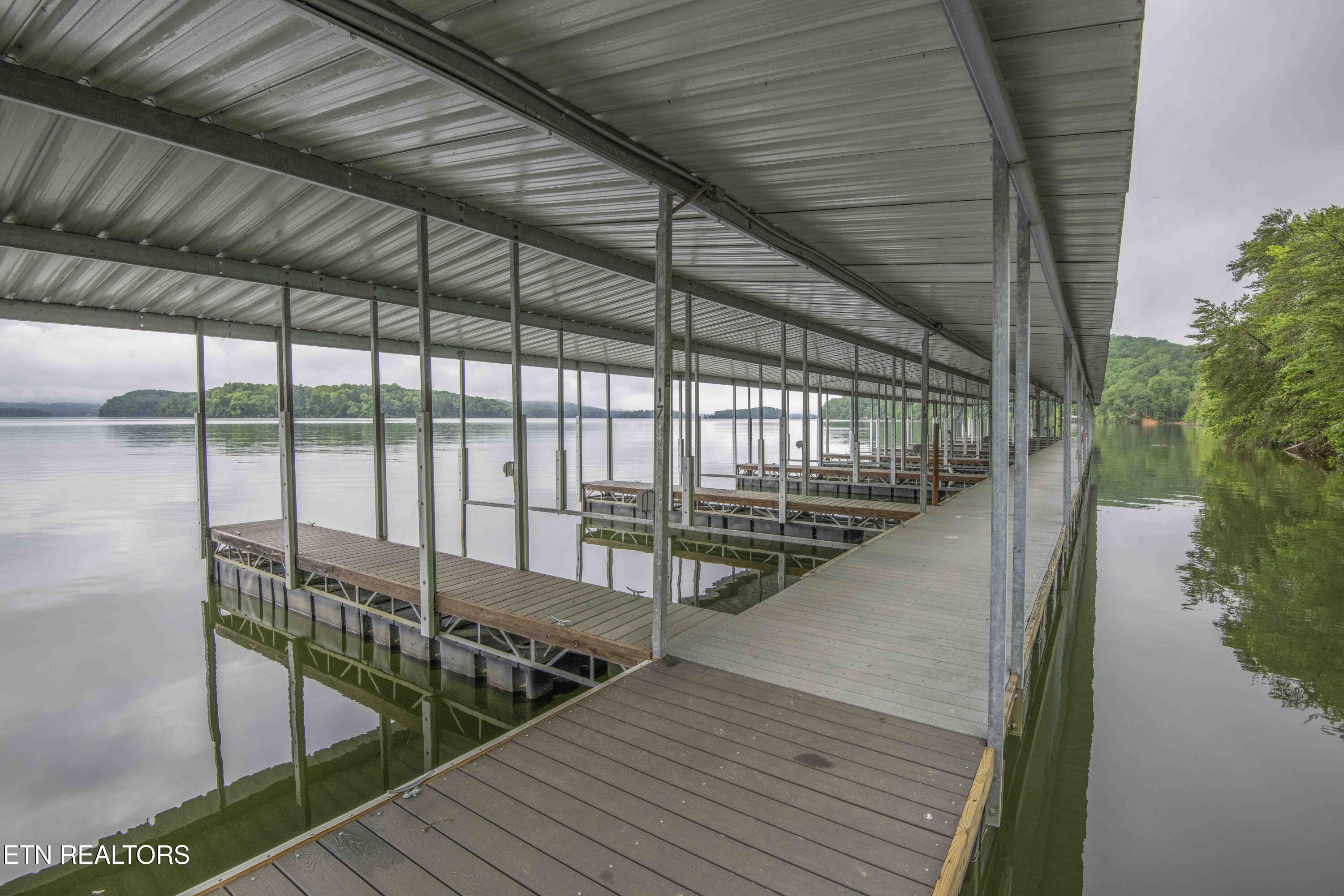 509 Hidden Forest Tr