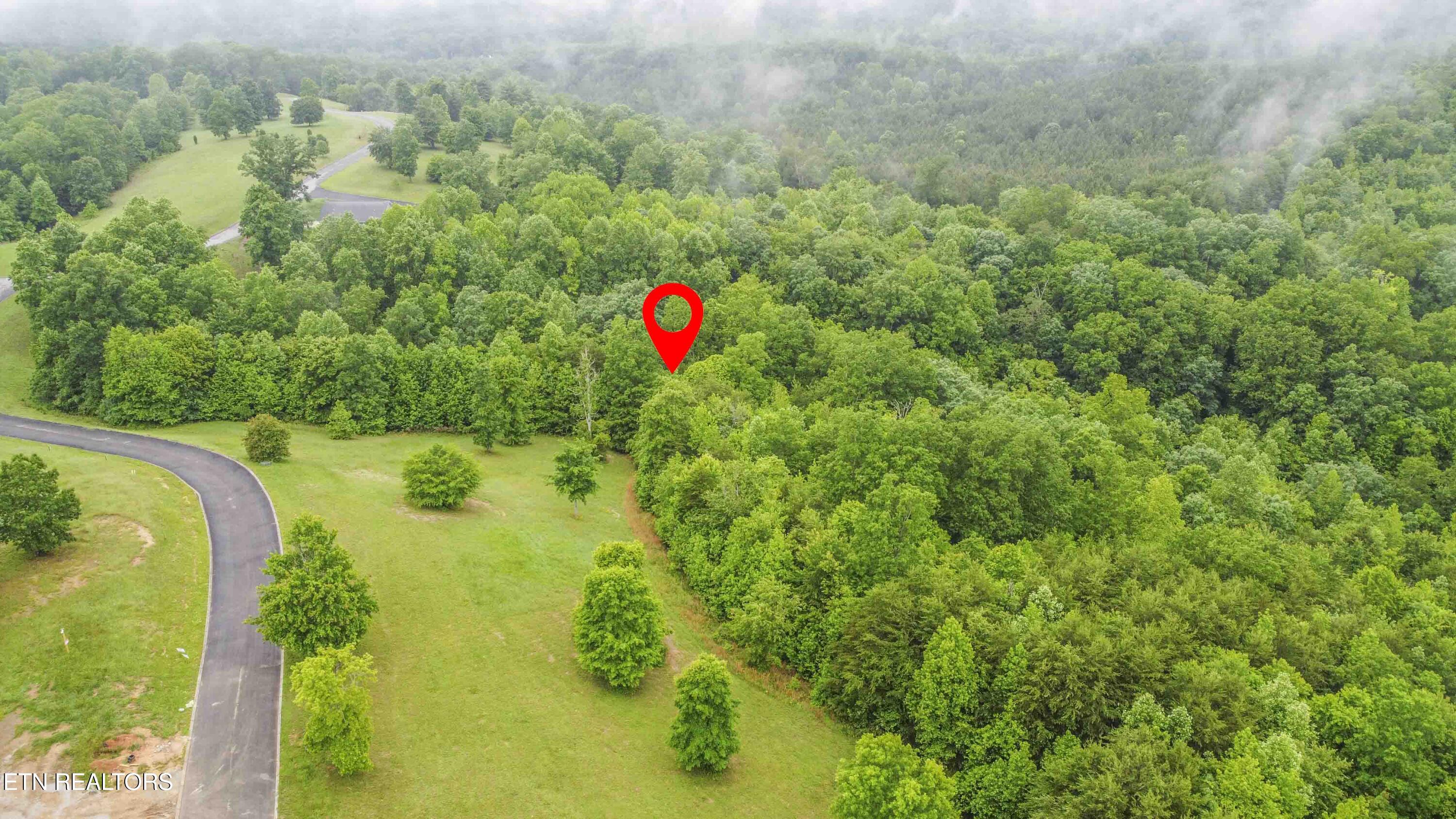 509 Hidden Forest Tr