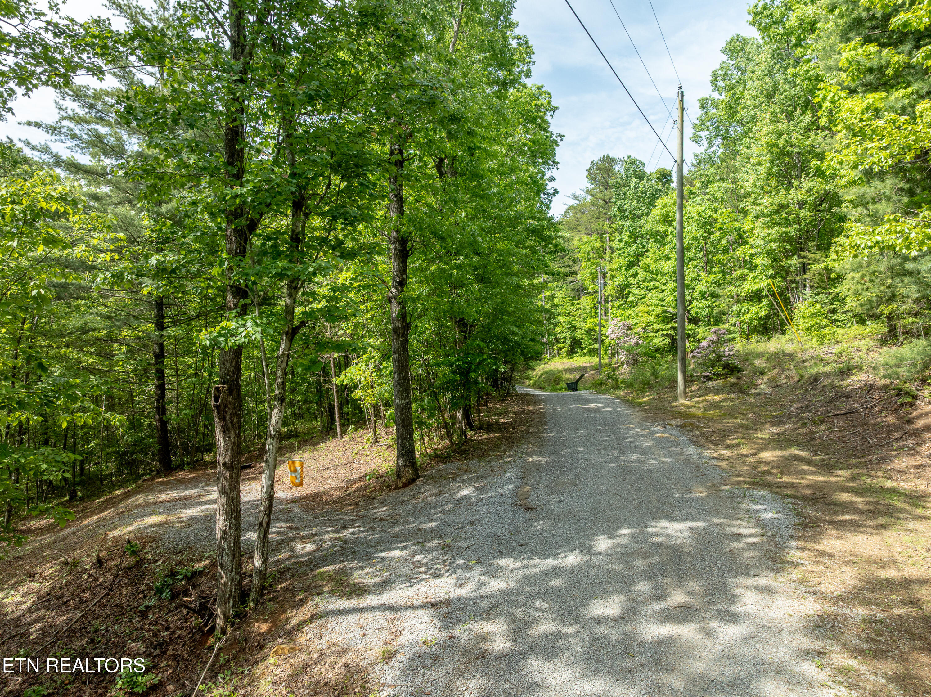 6163 Sandy Stand Rd
