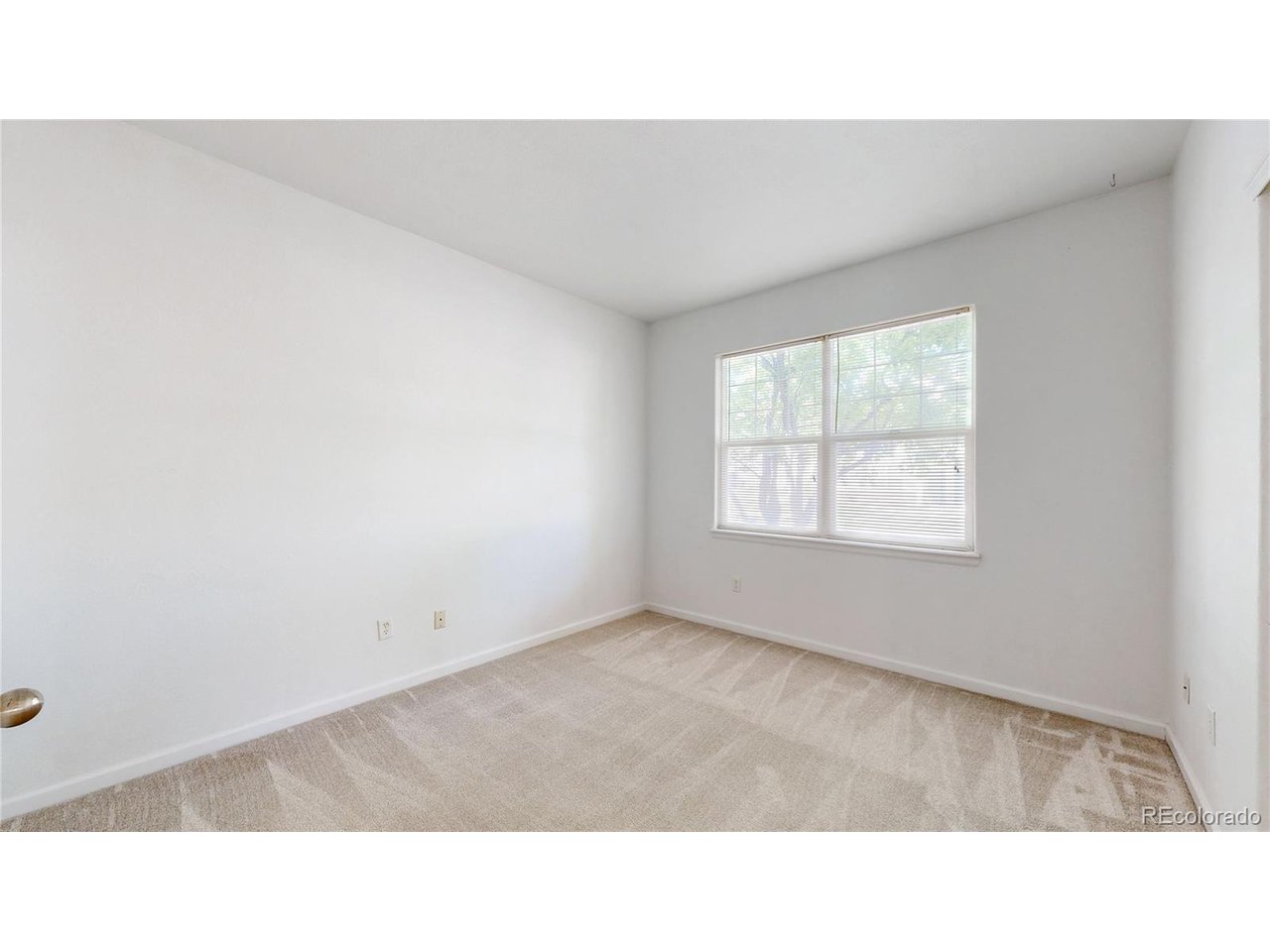 3654 Ponderosa Ct 3