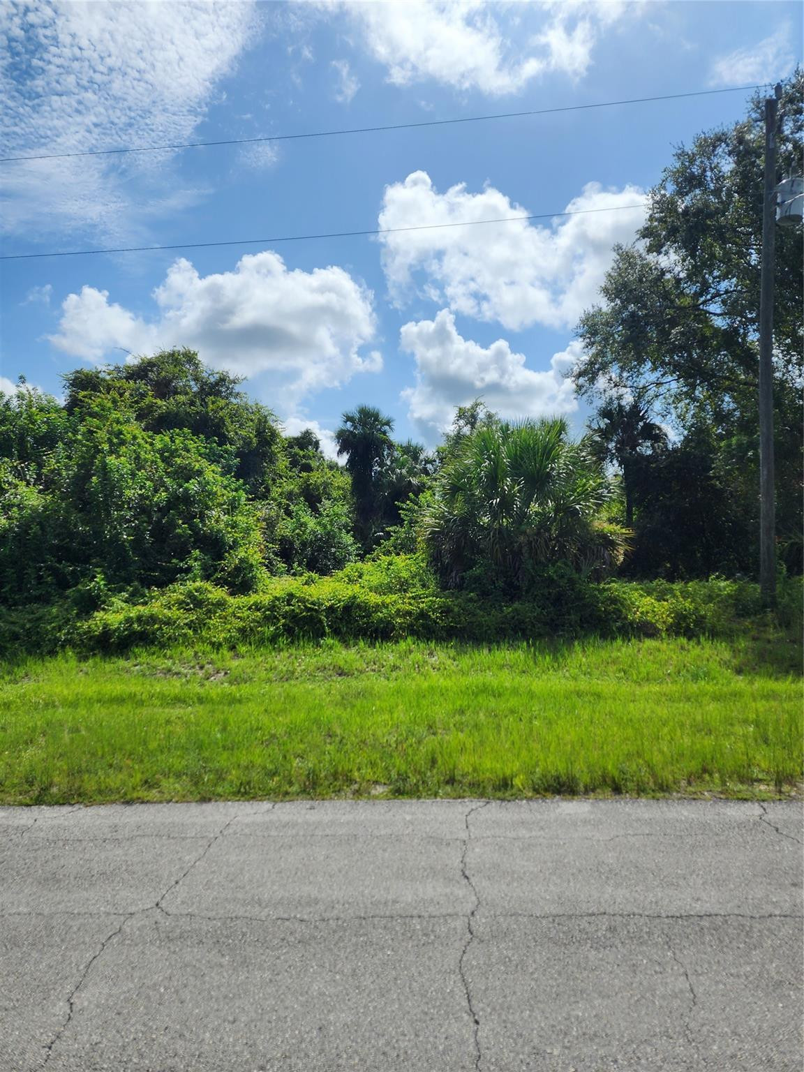 2039 Detroit Drive