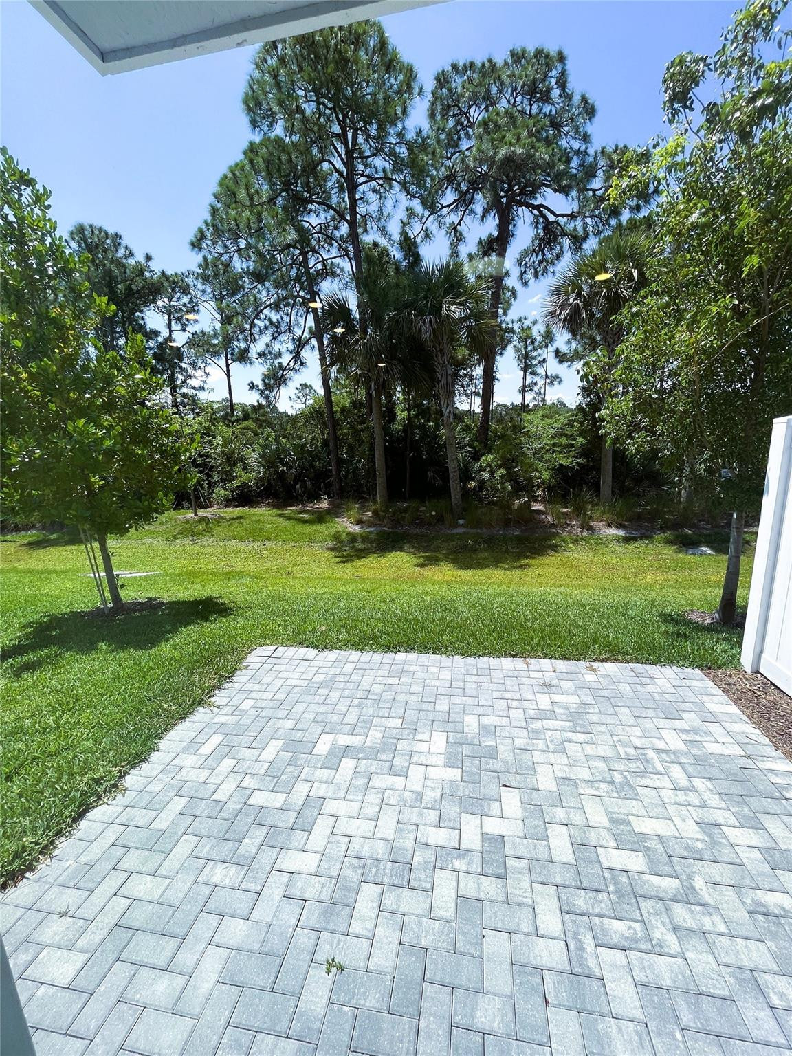 224 Preserve Trail