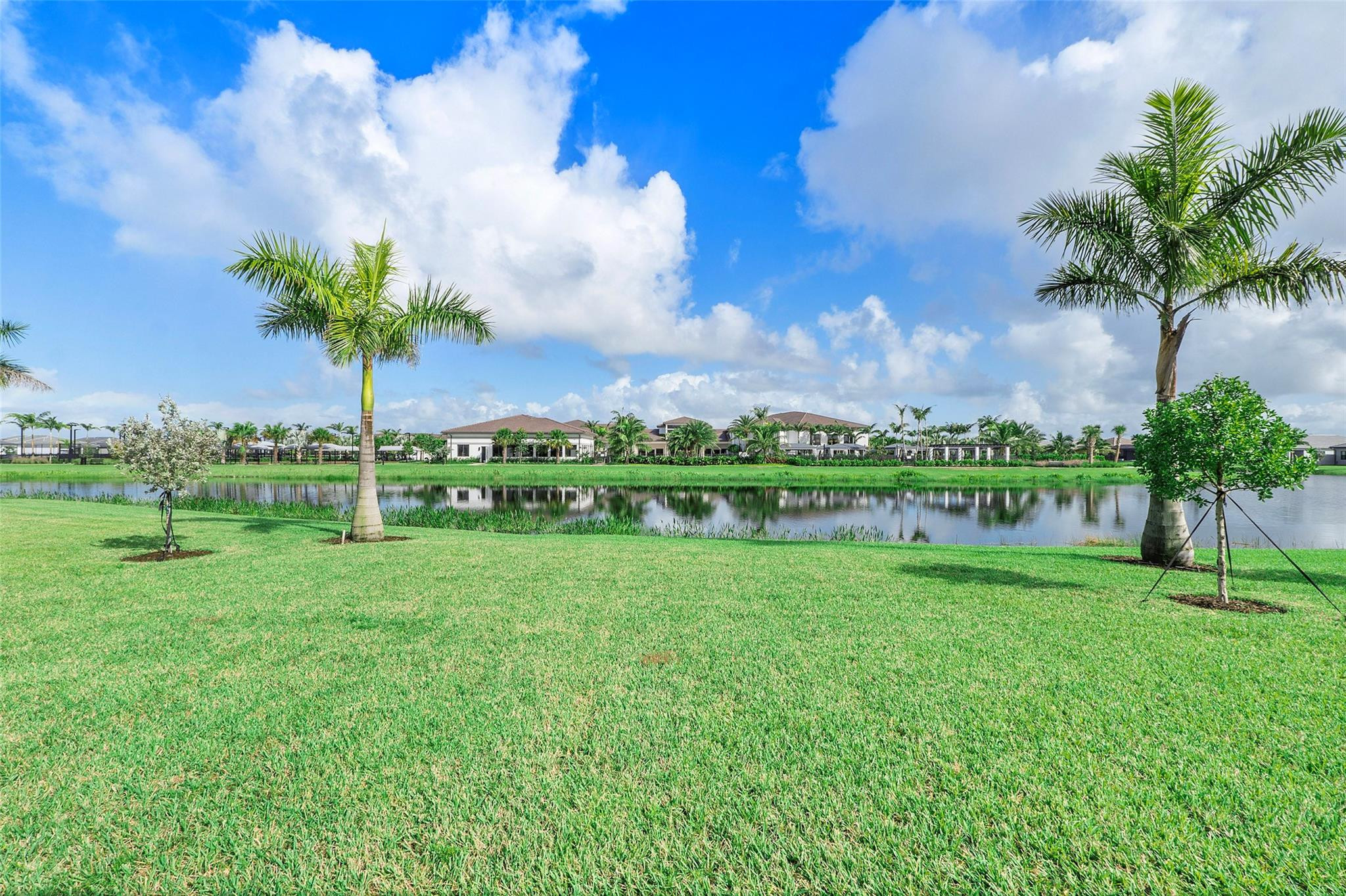 9422 Mountain Pine Grove