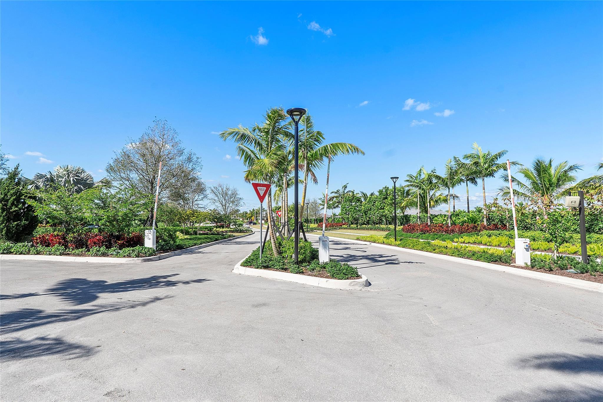 9422 Mountain Pine Grove