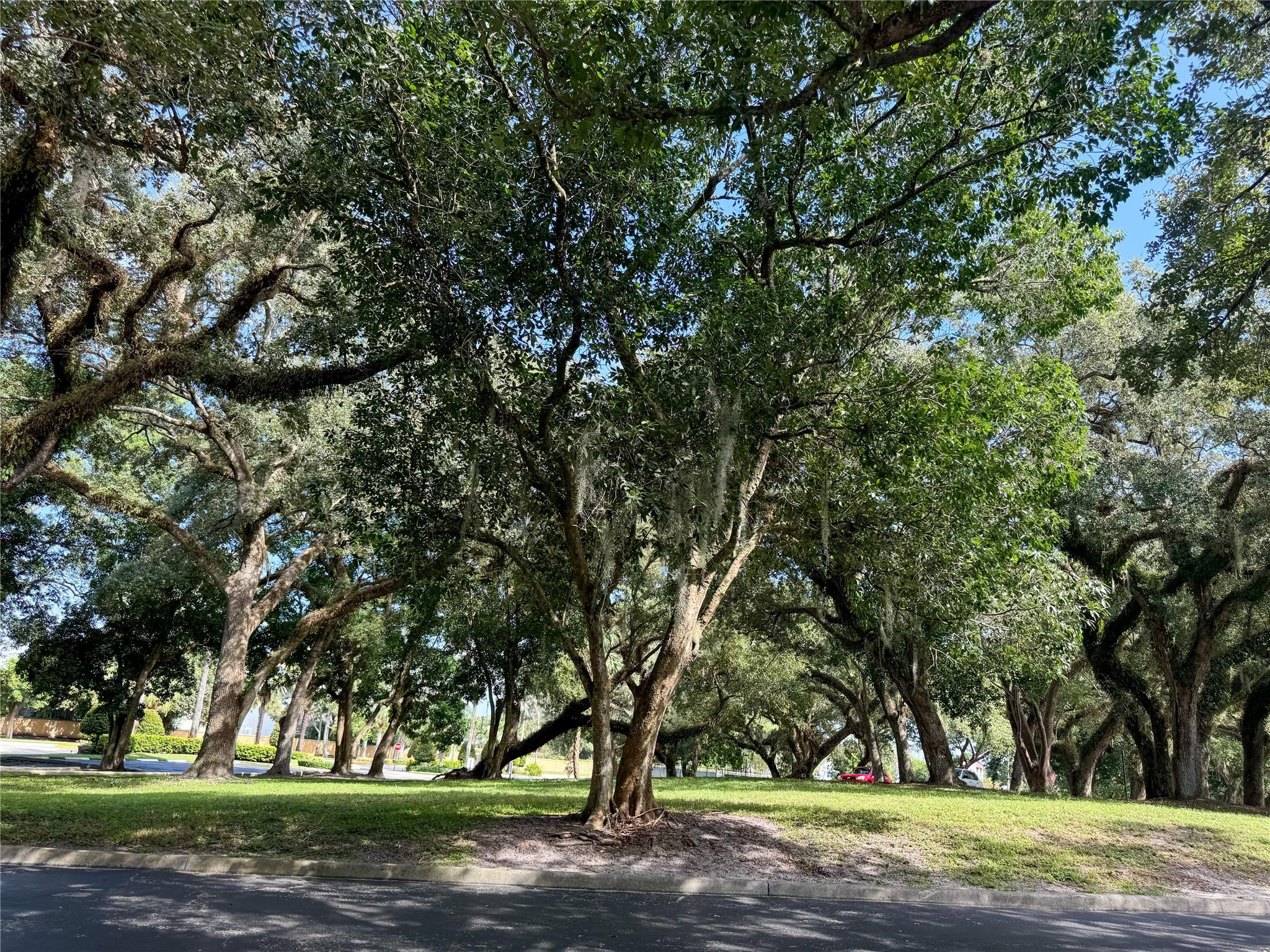 9450 Poinciana Place 311