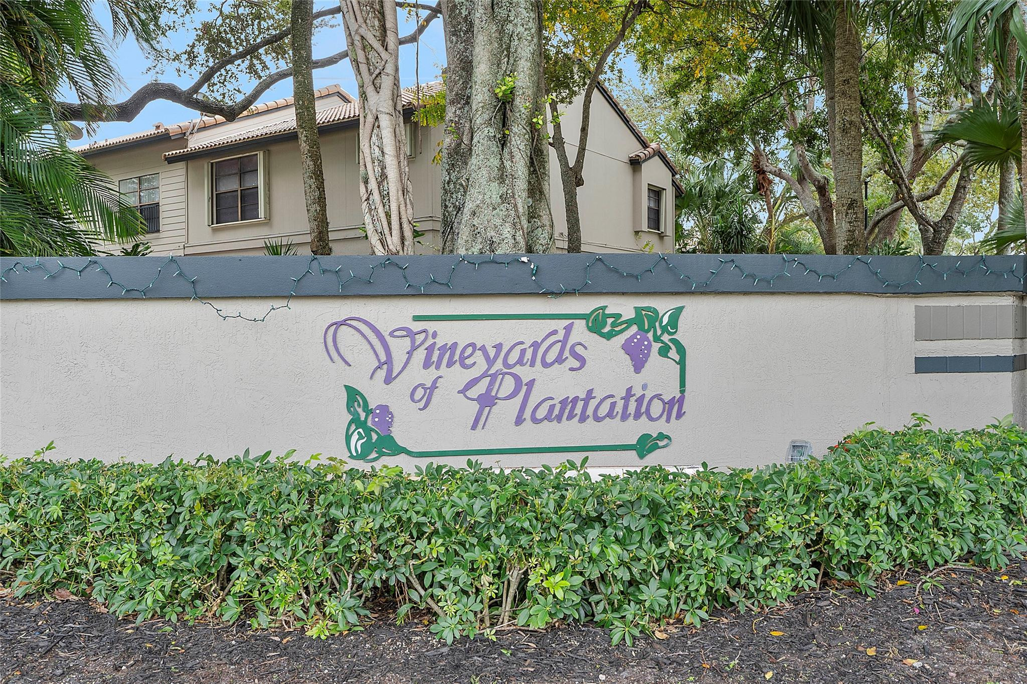 9133 Vineyard Lake Drive 9133