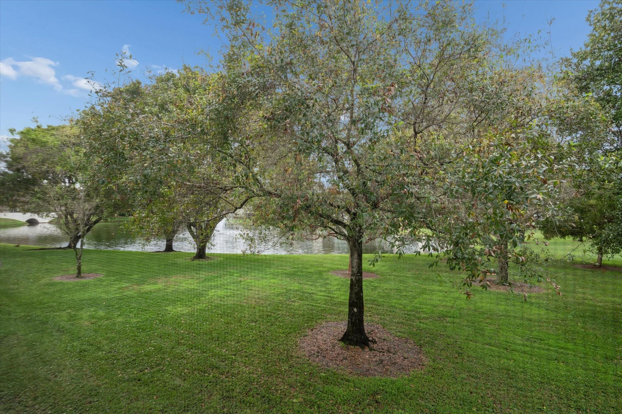 2202 Lucaya Bend L2