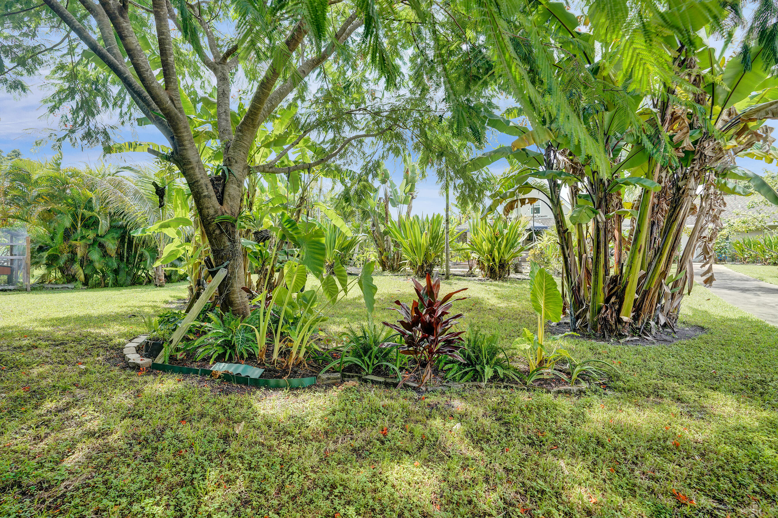11511 40th Street N