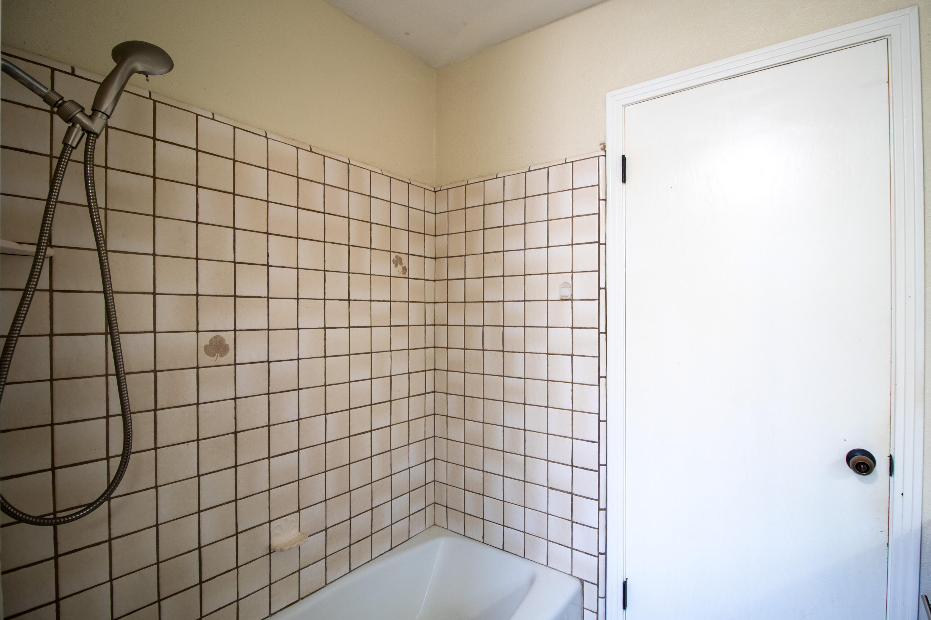 1455 W La Vida Lane