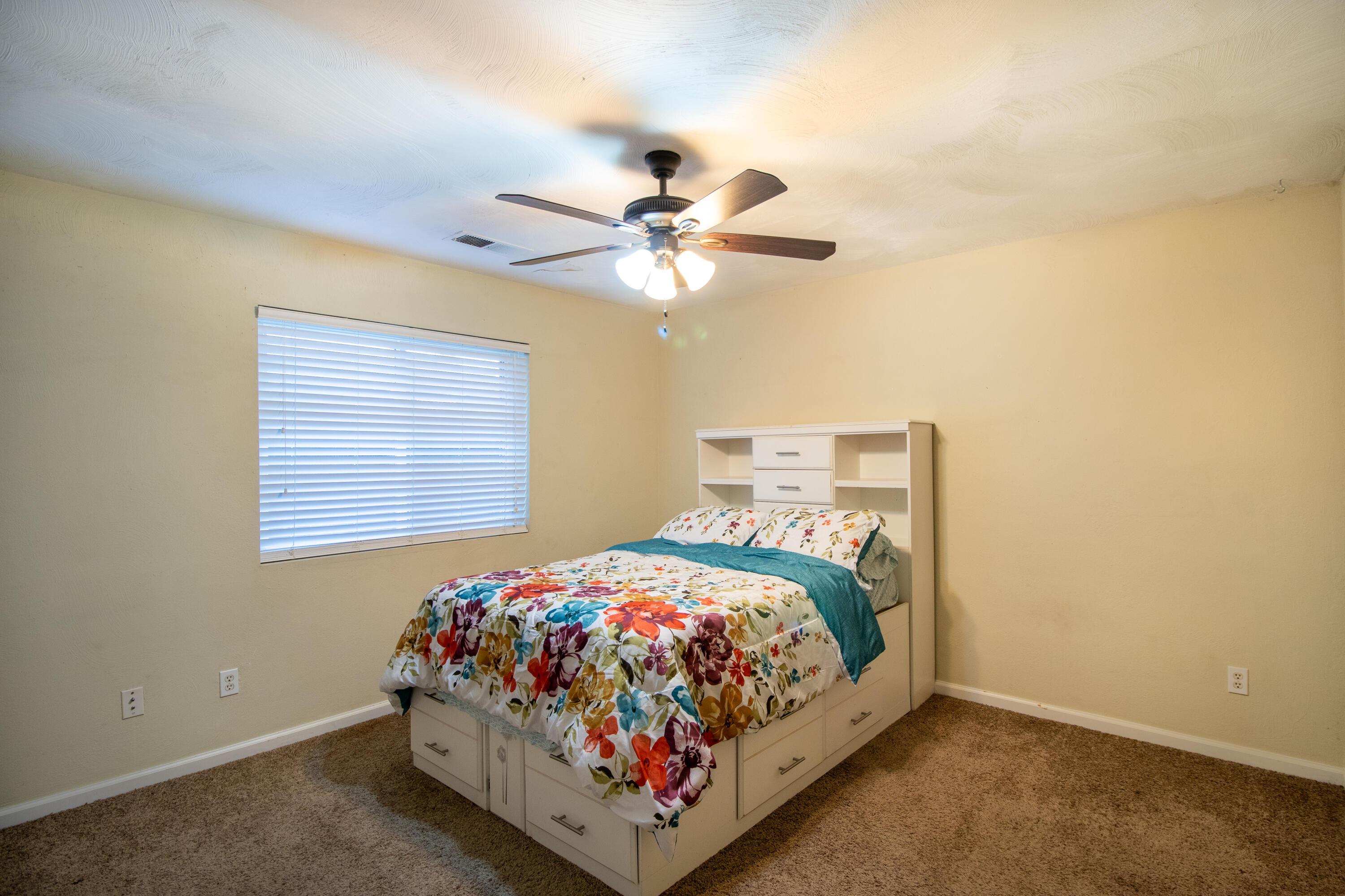 1455 W La Vida Lane