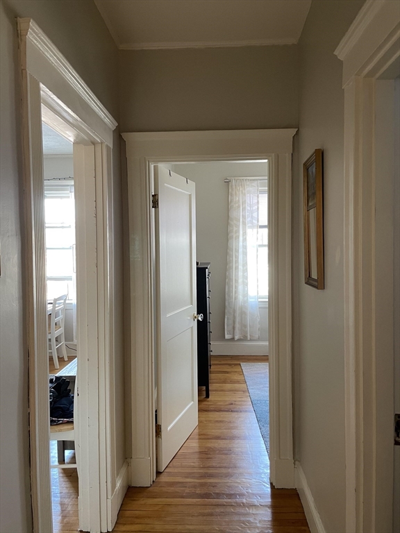 176 Winthrop Rd. # 8