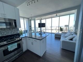 150 E ROBINSON ST #24-12