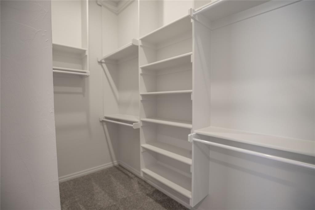3109 Open Prairie Trail