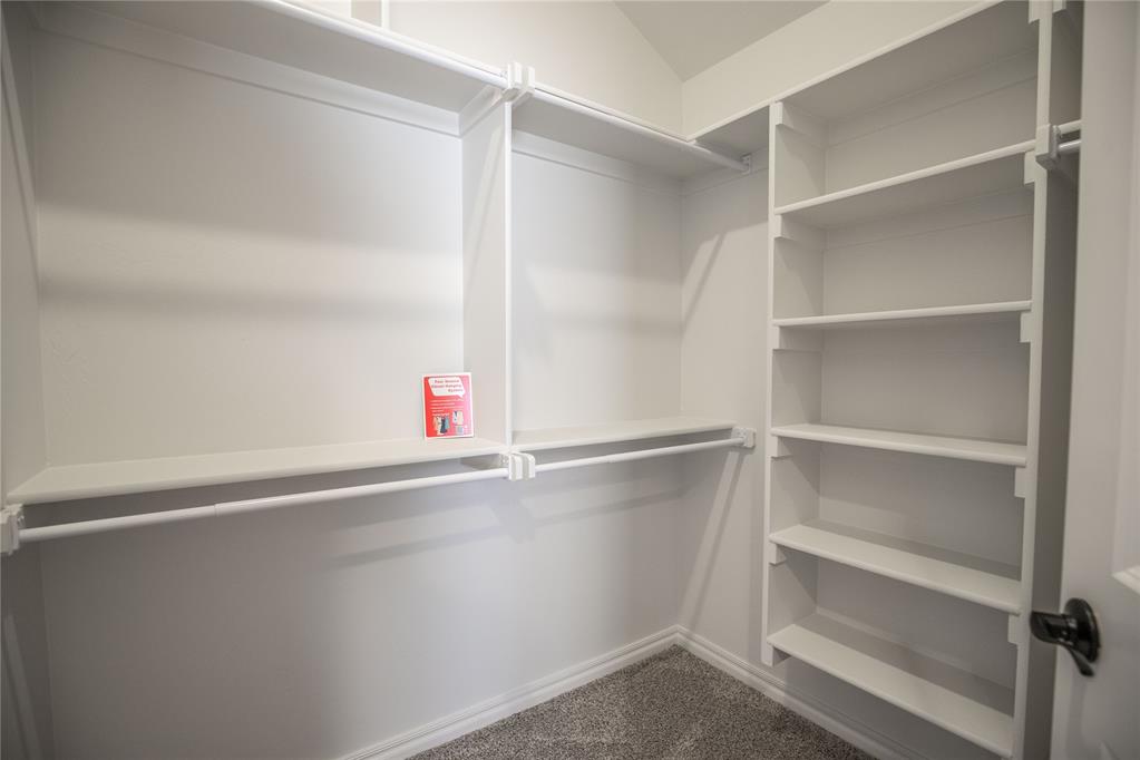 3109 Open Prairie Trail