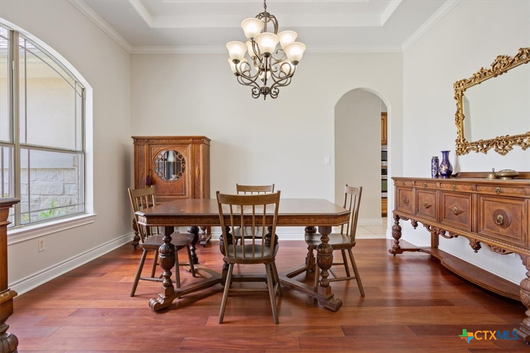 521 Buena Vista Drive