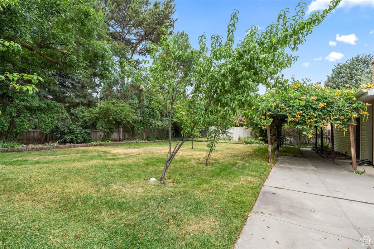 1926 E MOOR MONT DR
