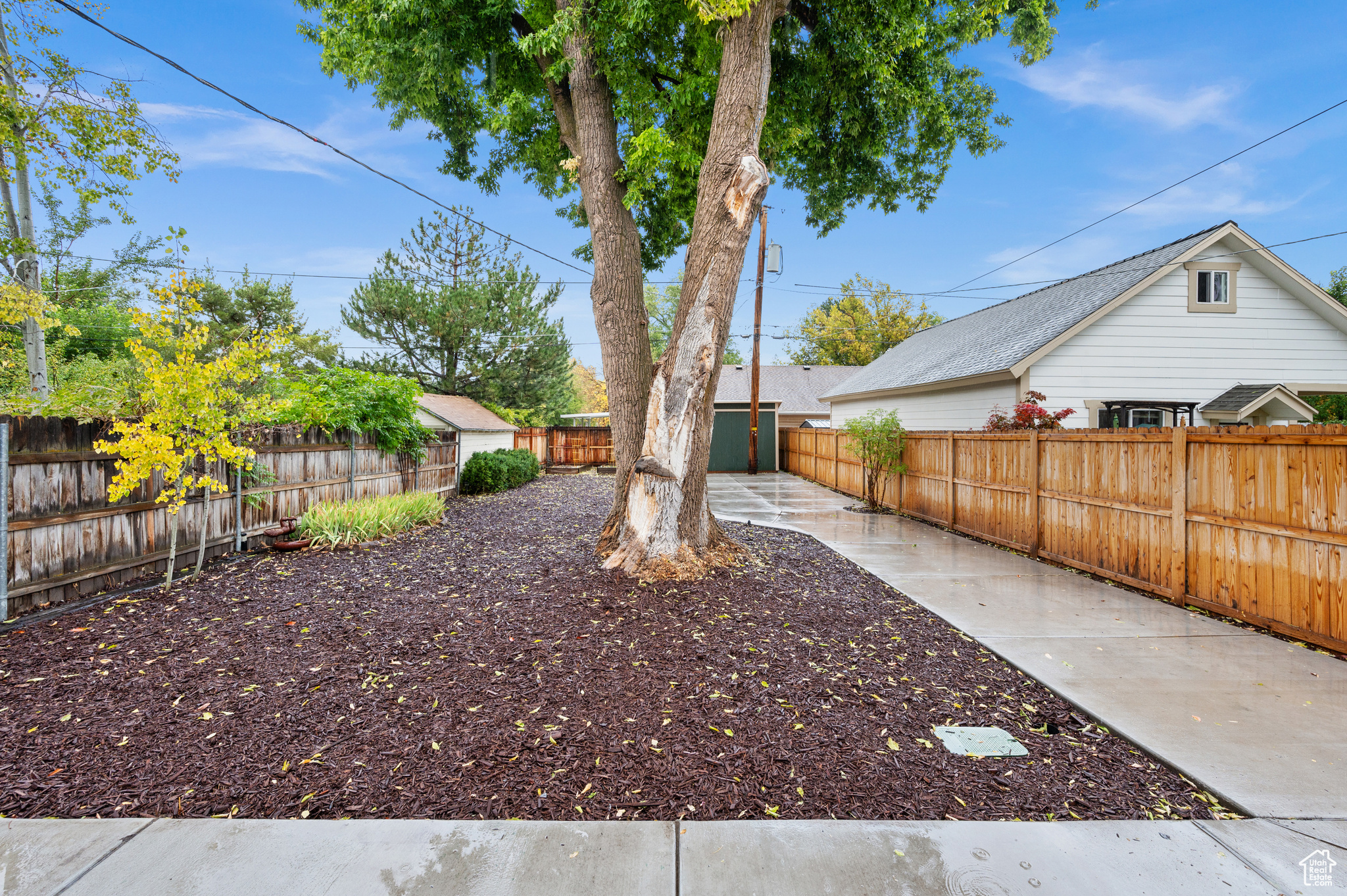447 E EDITH AVE