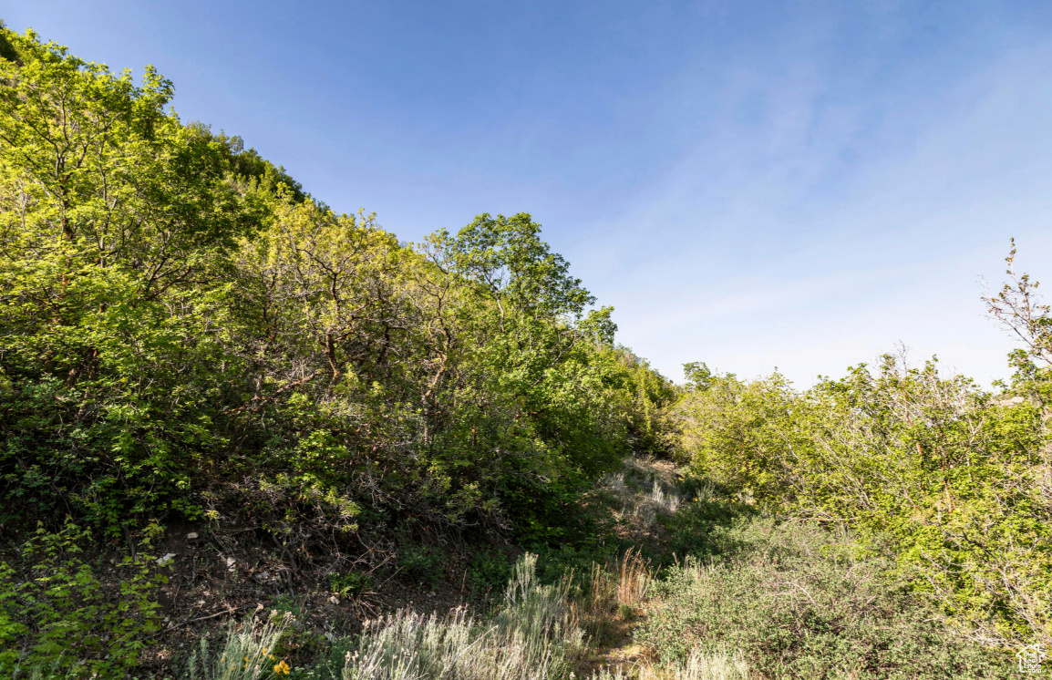 3922 E COVE RD Unit: 4