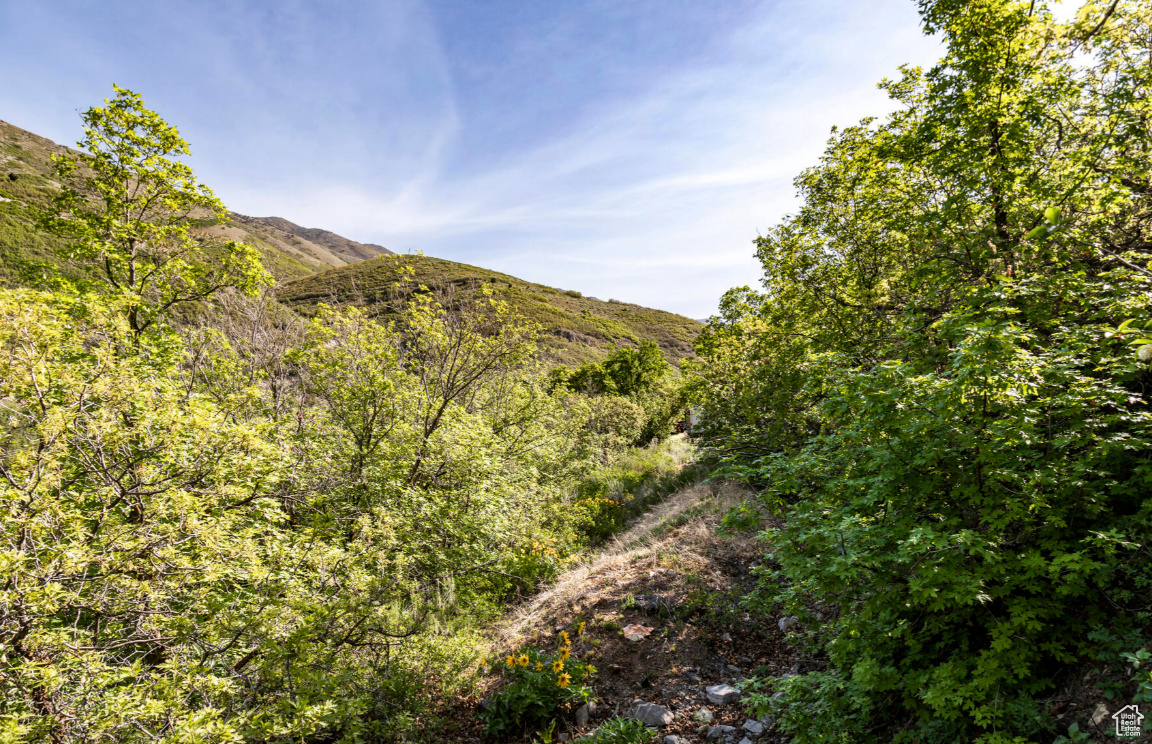 3922 E COVE RD Unit: 4